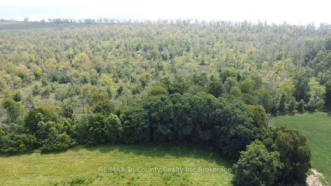 Photo 4 of PT LT 3 Lakeshore Road, Norfolk, Rural S. Walsingham — HOMEH