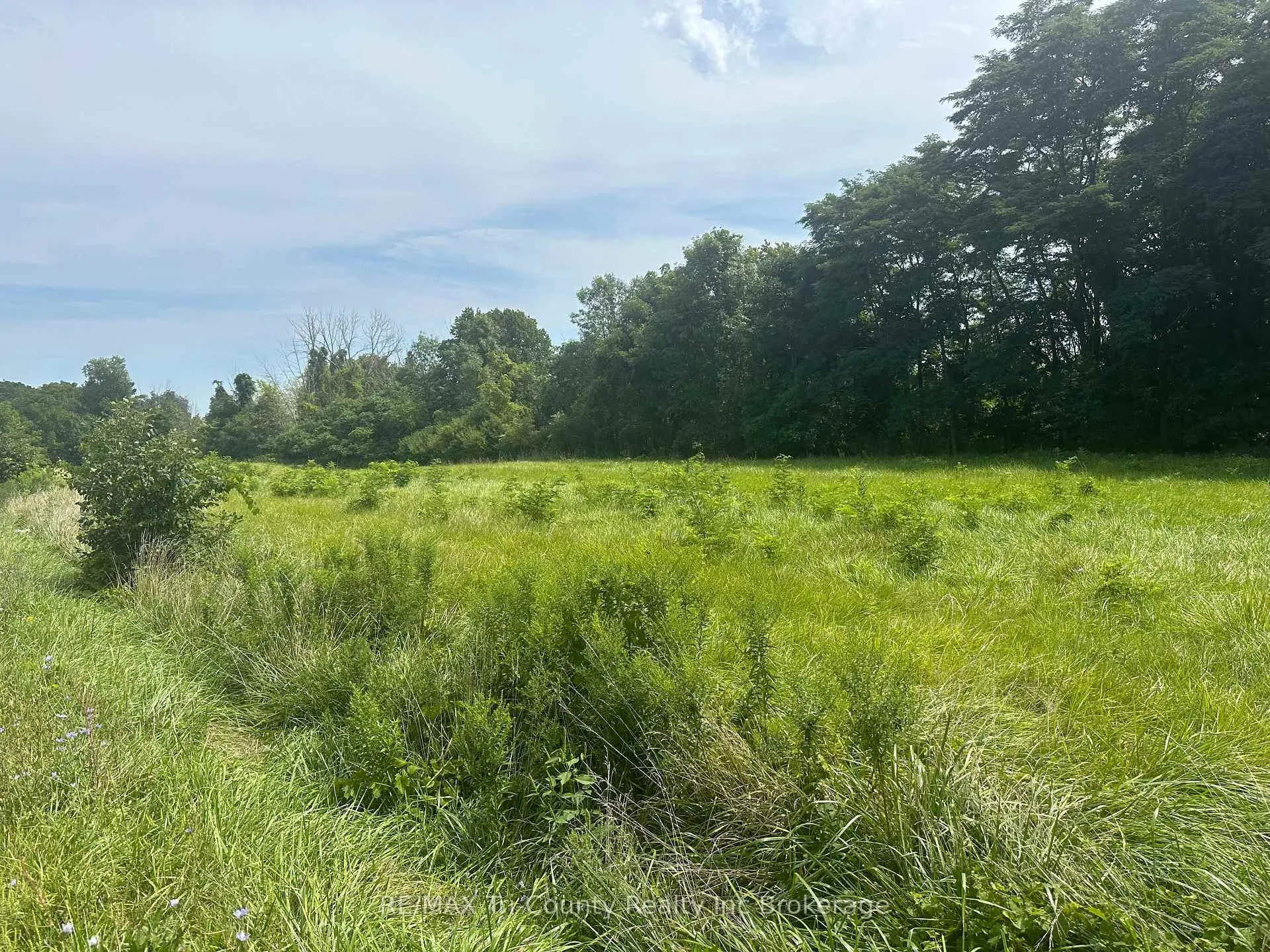 Photo 6 of PT LT 3 Lakeshore Road, Norfolk, Rural S. Walsingham — HOMEH
