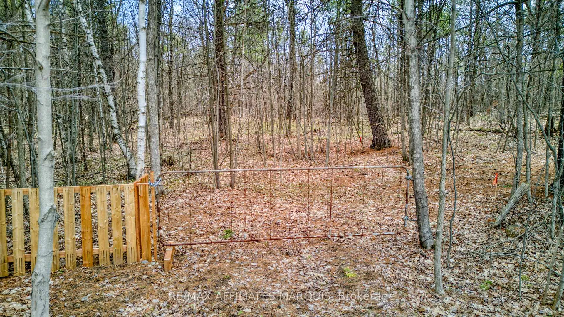 Photo 10 of highway 15 Road, Rideau Lakes, Rideau Lakes (South Crosby) Twp — HOMEH