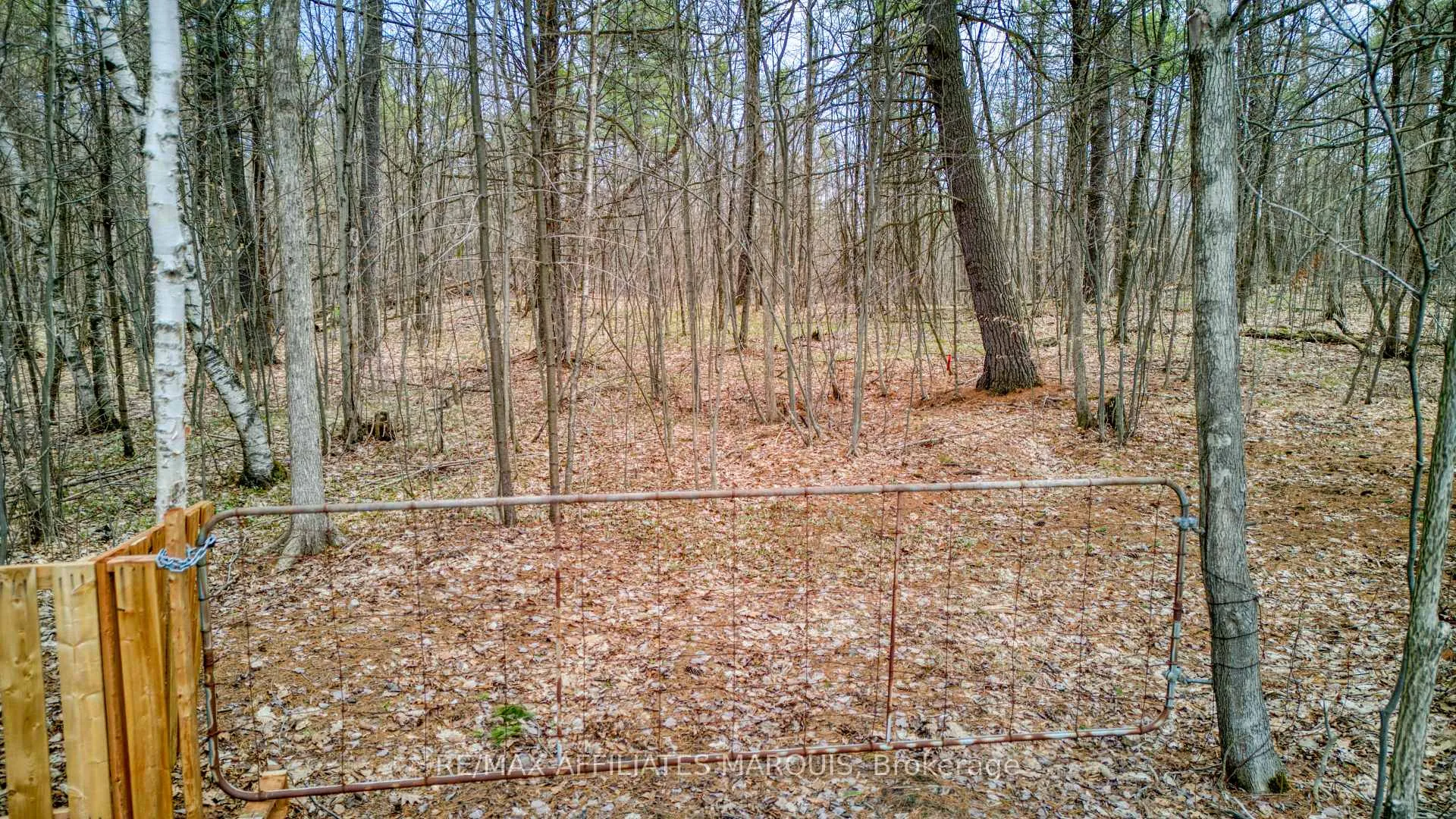 Photo 11 of highway 15 Road, Rideau Lakes, Rideau Lakes (South Crosby) Twp — HOMEH