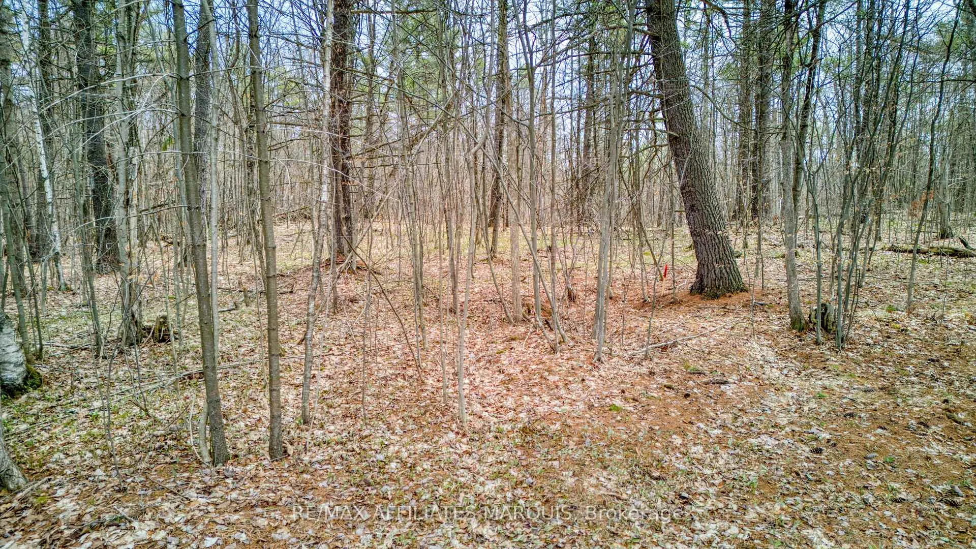 Photo 12 of highway 15 Road, Rideau Lakes, Rideau Lakes (South Crosby) Twp — HOMEH