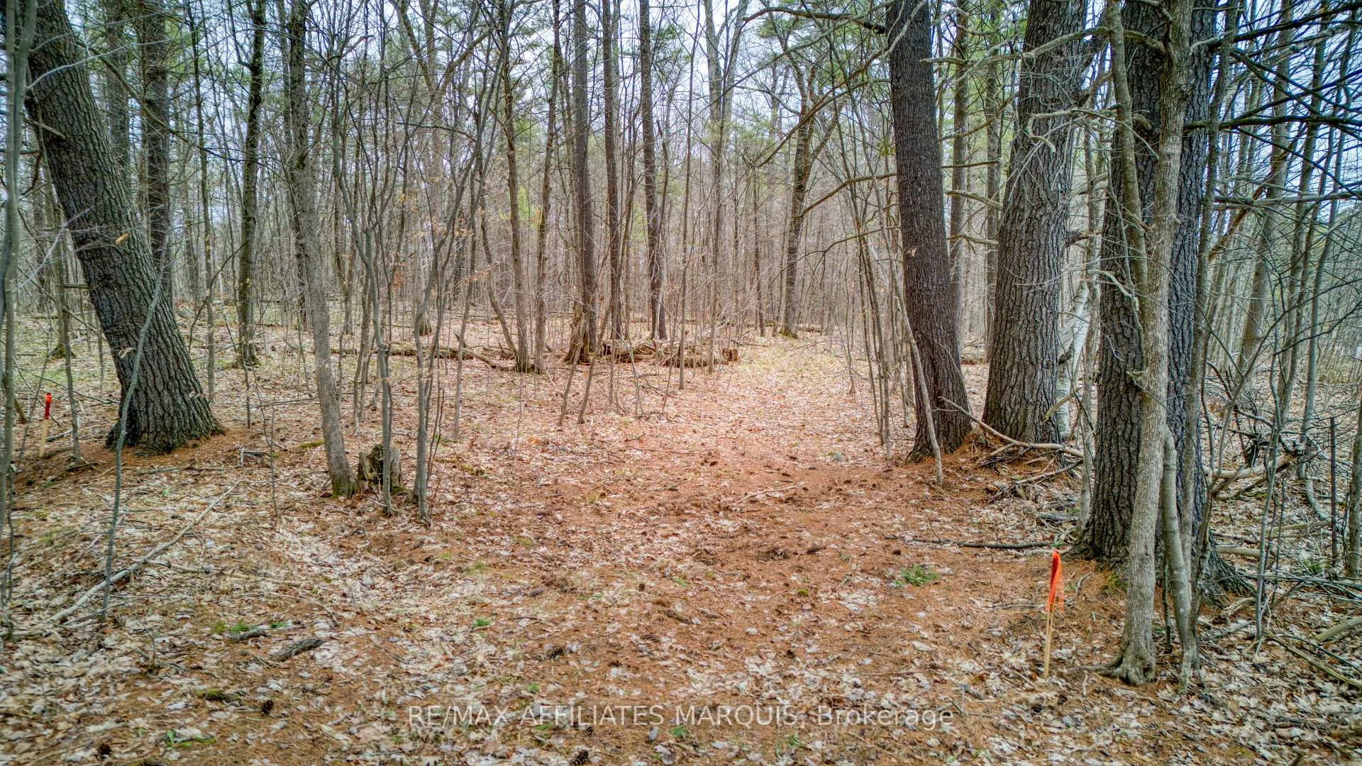 Photo 13 of highway 15 Road, Rideau Lakes, Rideau Lakes (South Crosby) Twp — HOMEH