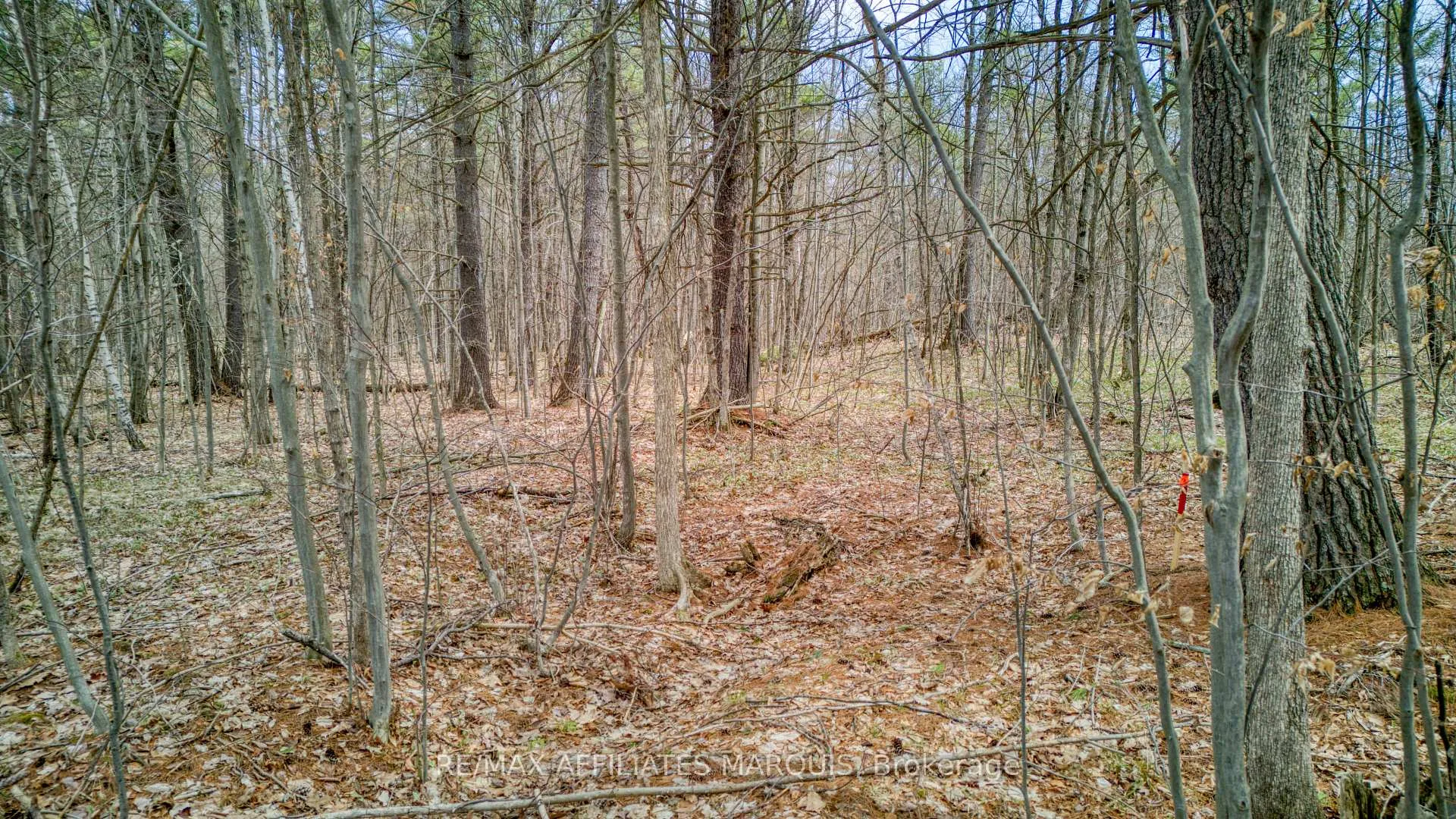 Photo 15 of highway 15 Road, Rideau Lakes, Rideau Lakes (South Crosby) Twp — HOMEH