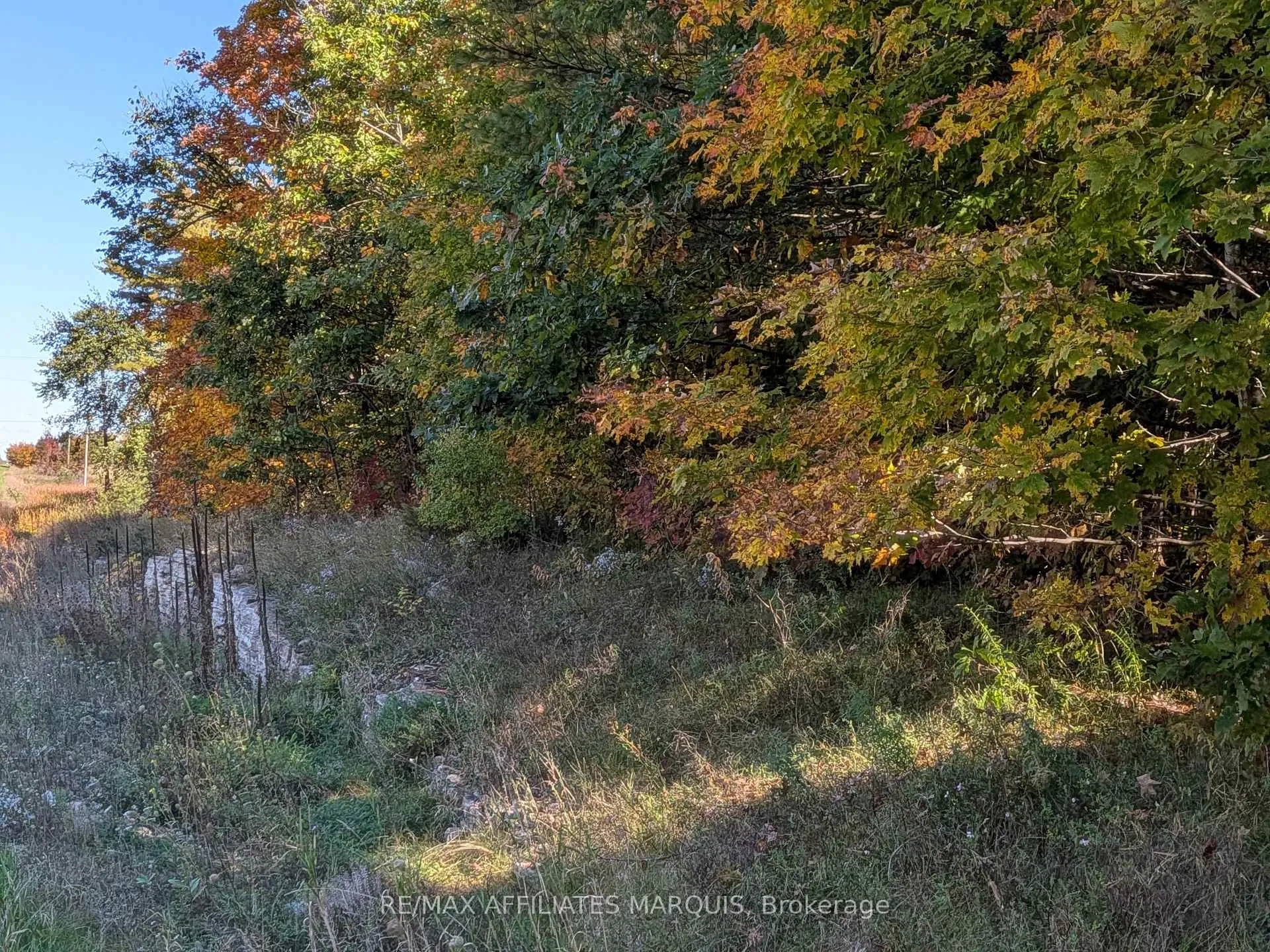 Photo 3 of highway 15 Road, Rideau Lakes, Rideau Lakes (South Crosby) Twp — HOMEH