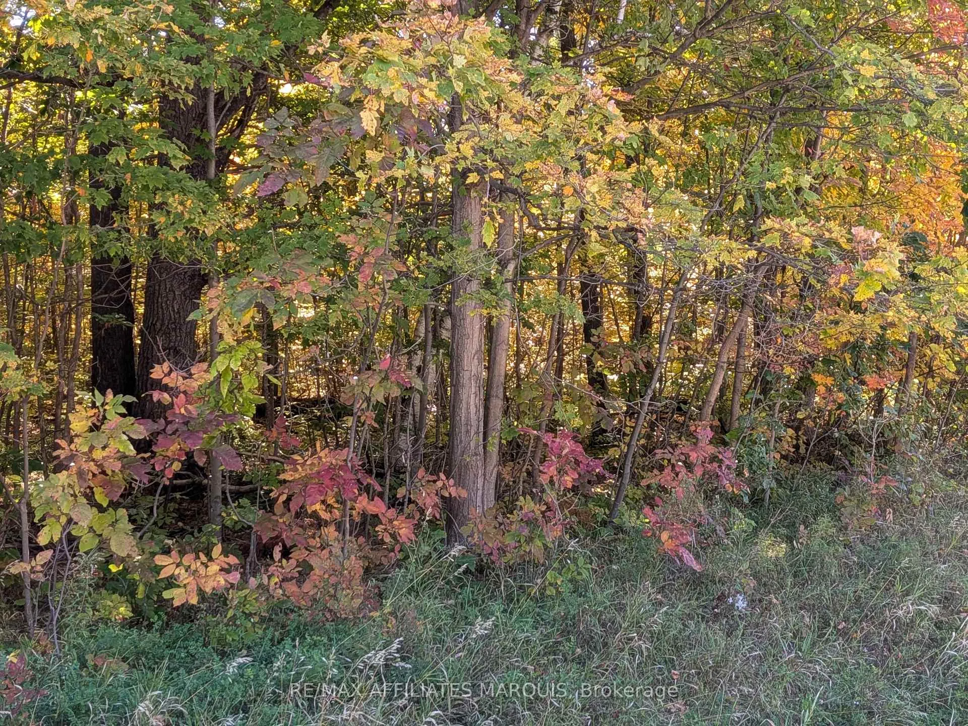 Photo 16 of highway 15 Road, Rideau Lakes, Rideau Lakes (South Crosby) Twp — HOMEH