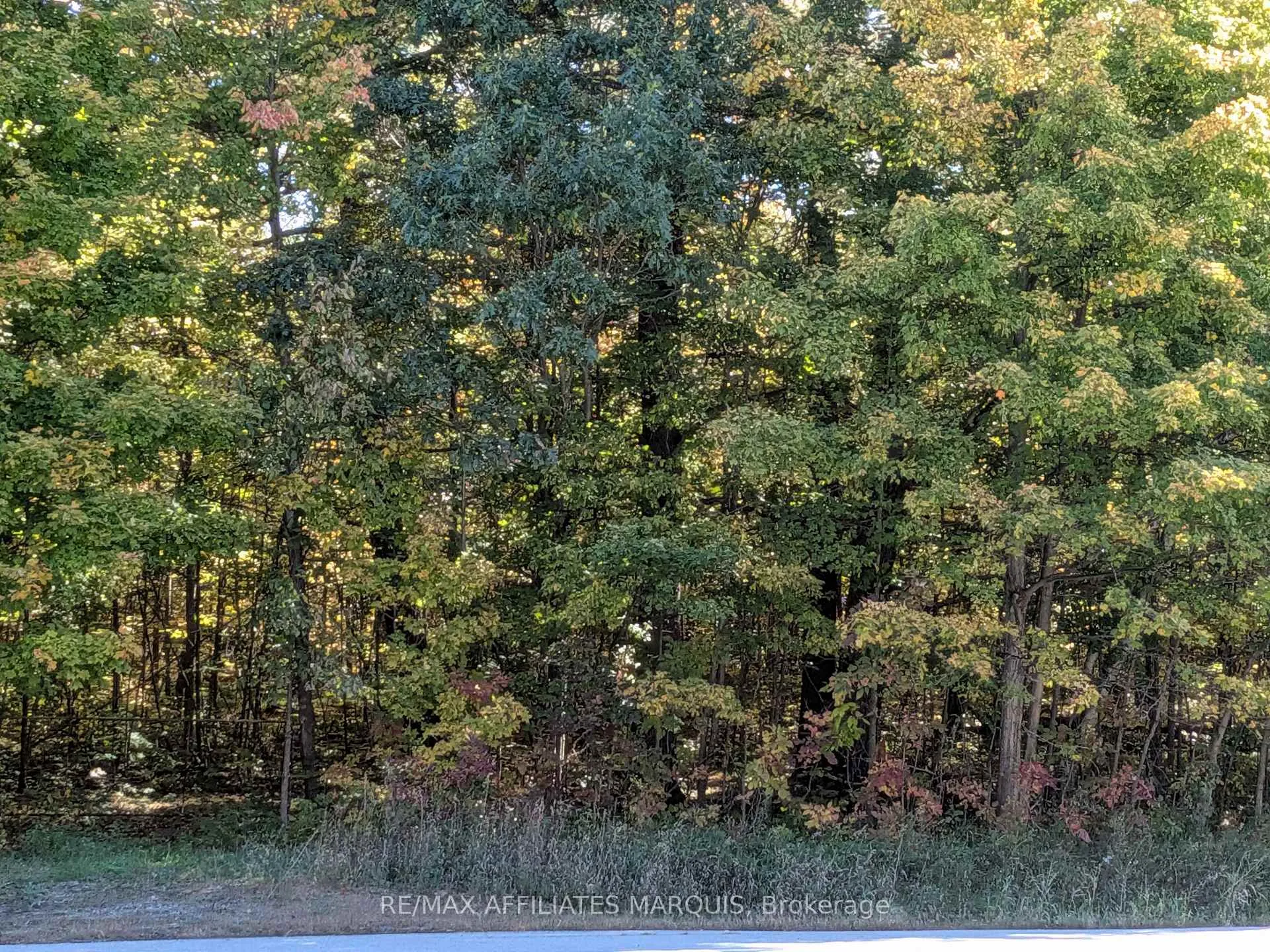 Photo 17 of highway 15 Road, Rideau Lakes, Rideau Lakes (South Crosby) Twp — HOMEH