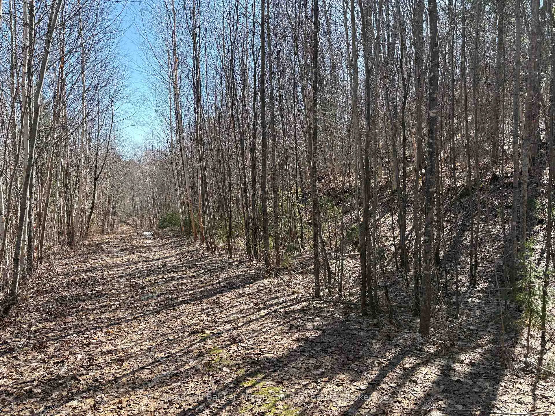 Photo 1 of Hamilton Lake Road, Machar — HOMEH