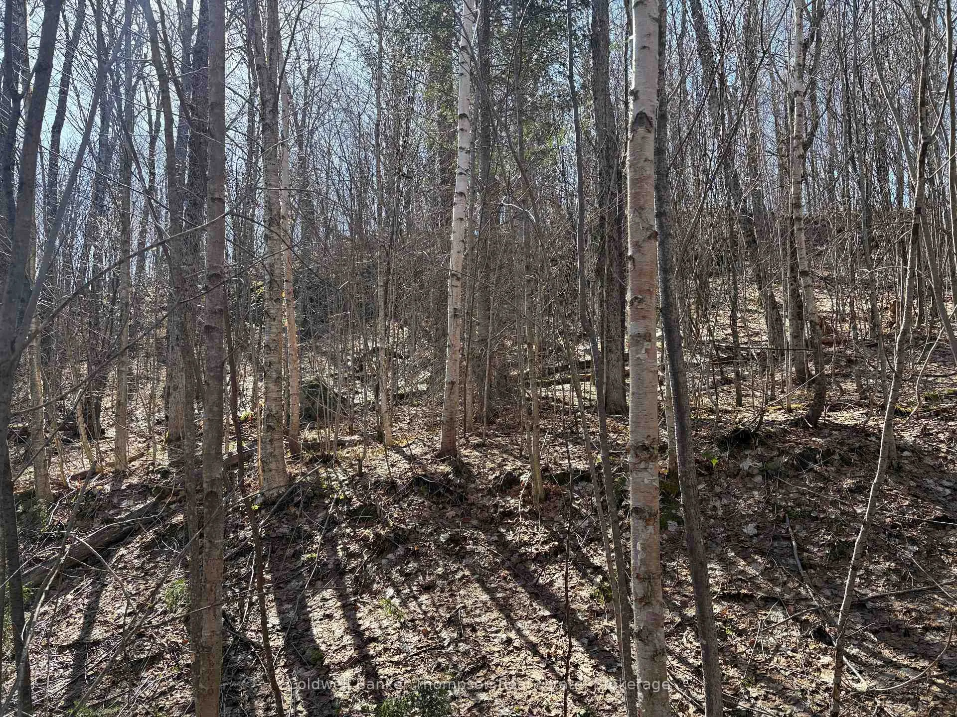 Photo 2 of Hamilton Lake Road, Machar — HOMEH