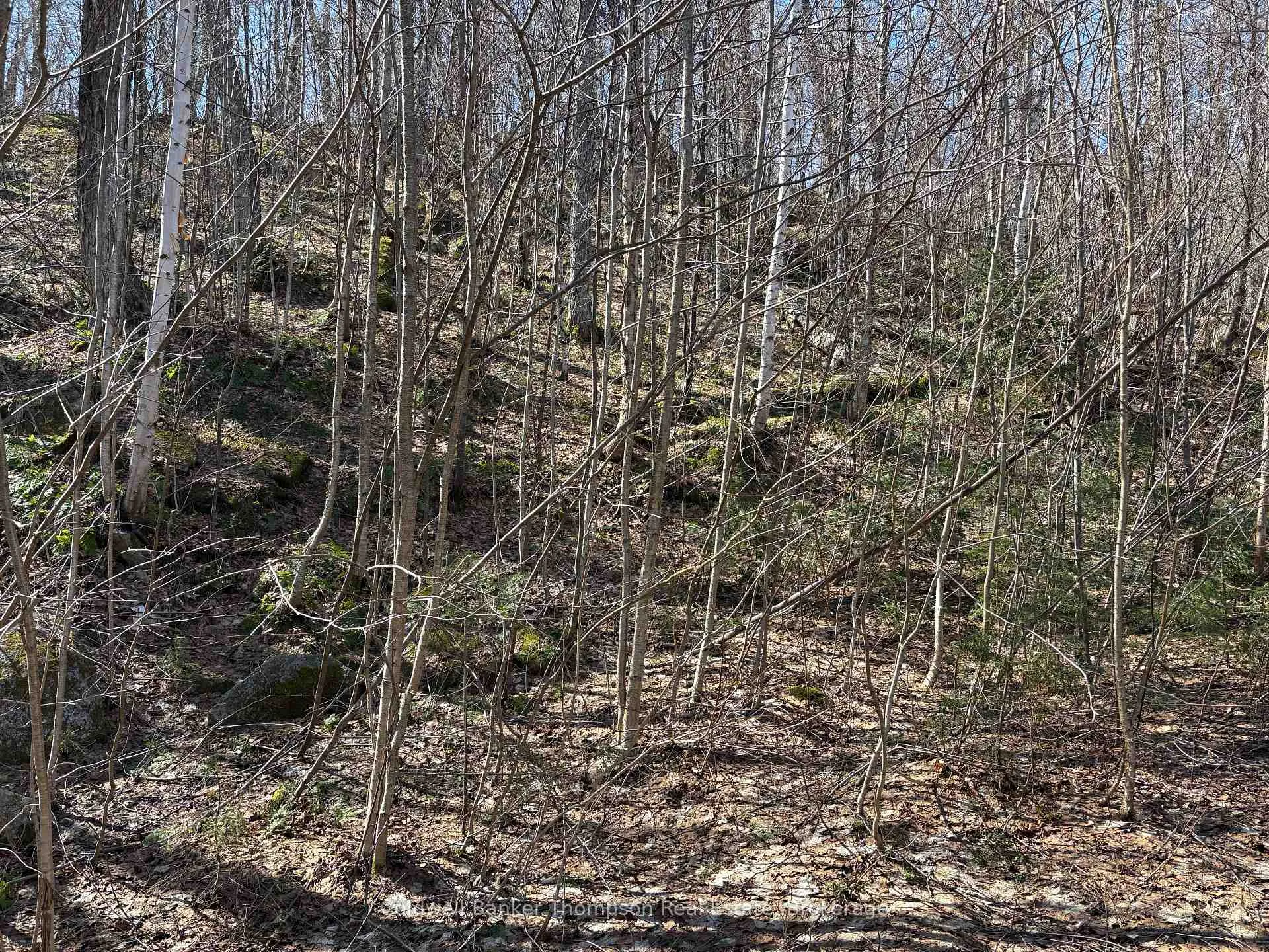 Photo 3 of Hamilton Lake Road, Machar — HOMEH