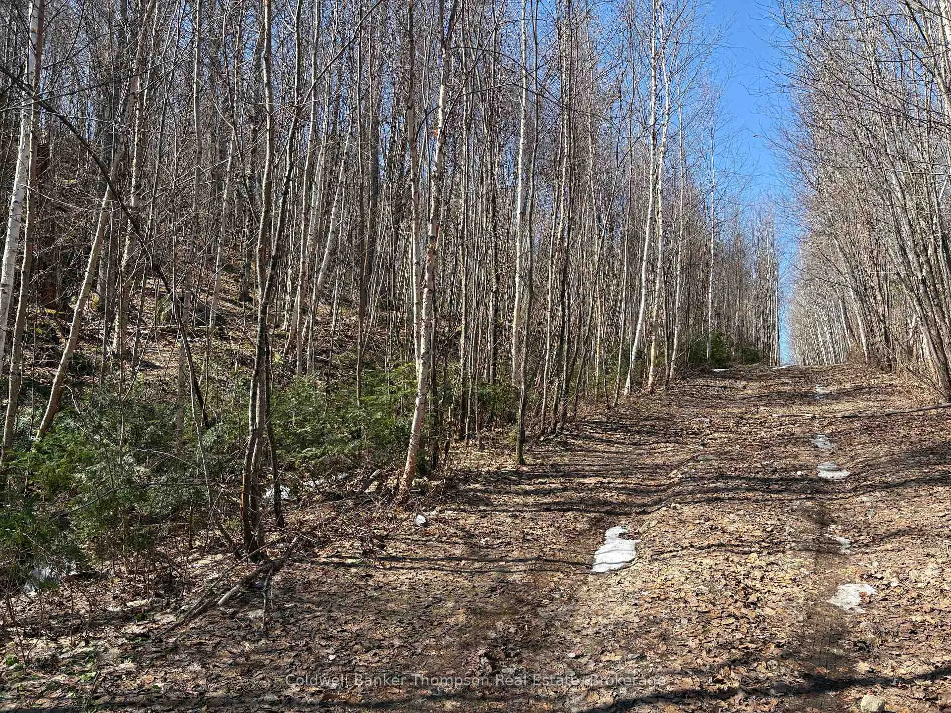 Photo 4 of Hamilton Lake Road, Machar — HOMEH