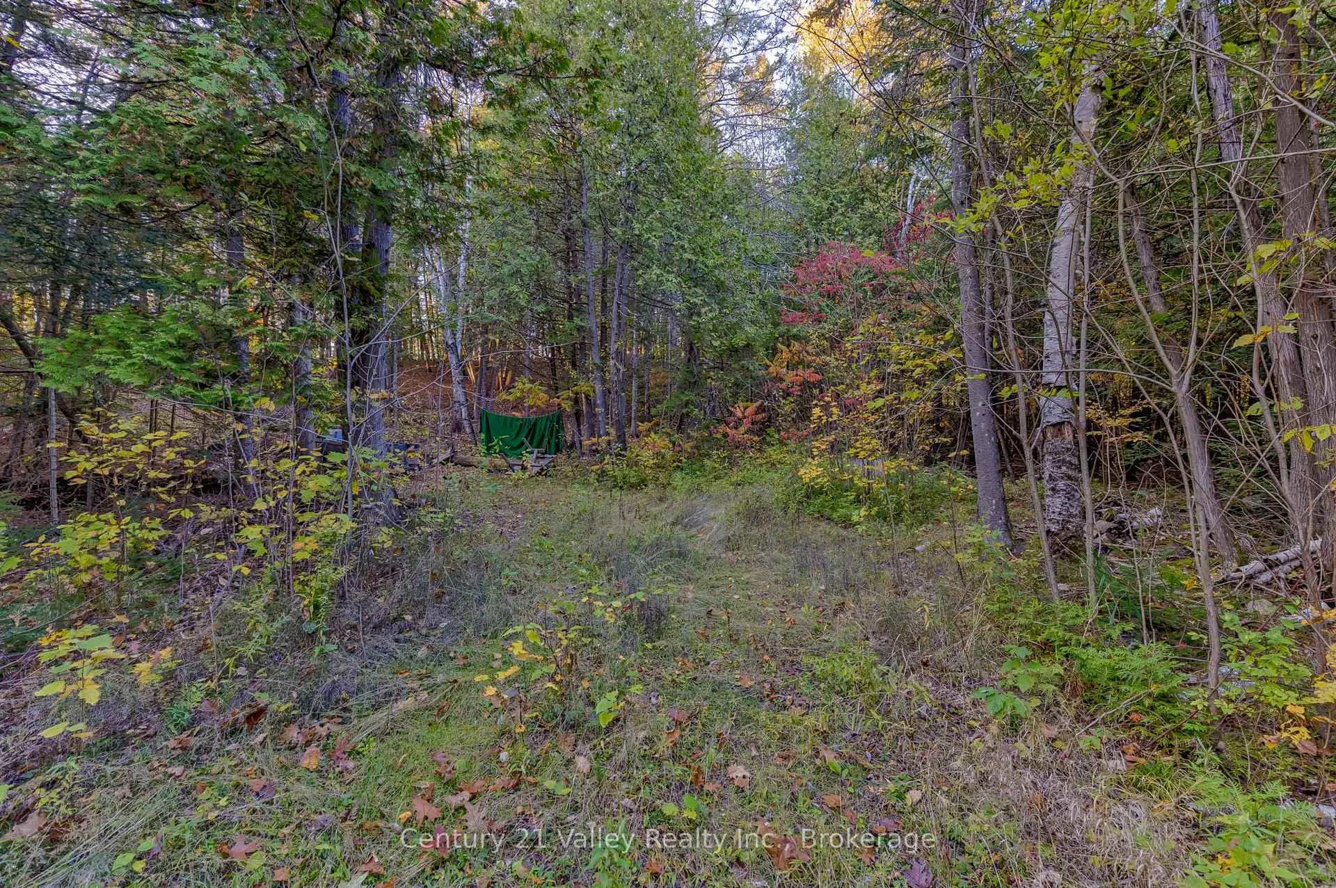 Photo 22 of Richards Lane, Bonnechere Valley, Eganville/Bonnechere Twp — HOMEH