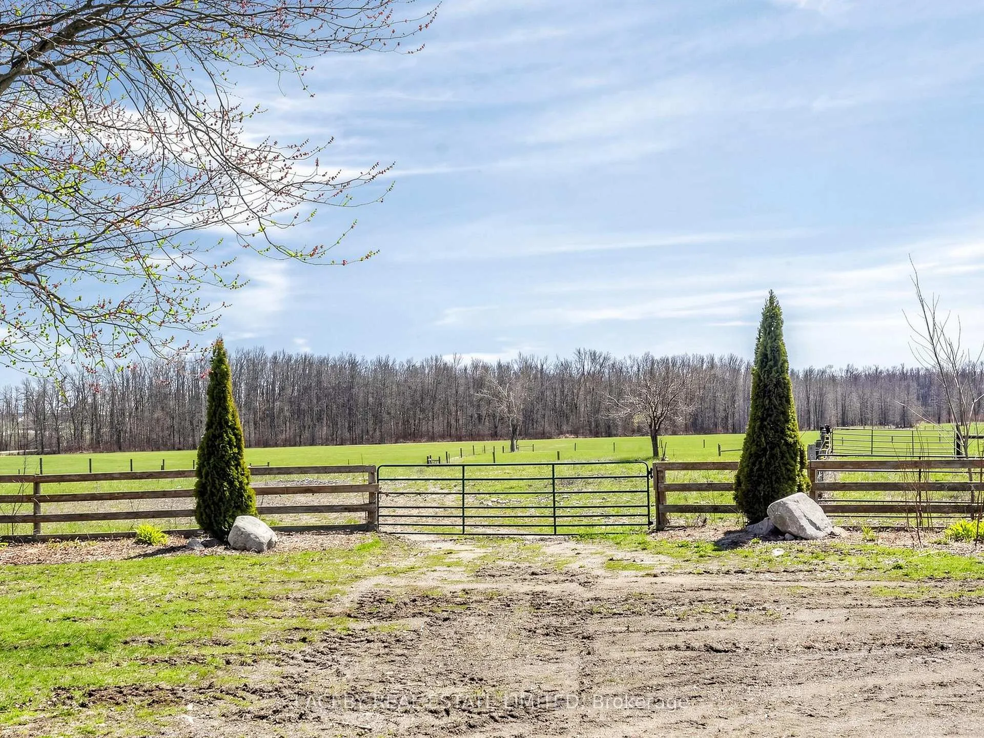 Photo 17 of 51 Balsam Road, Ramara, Atherley — HOMEH