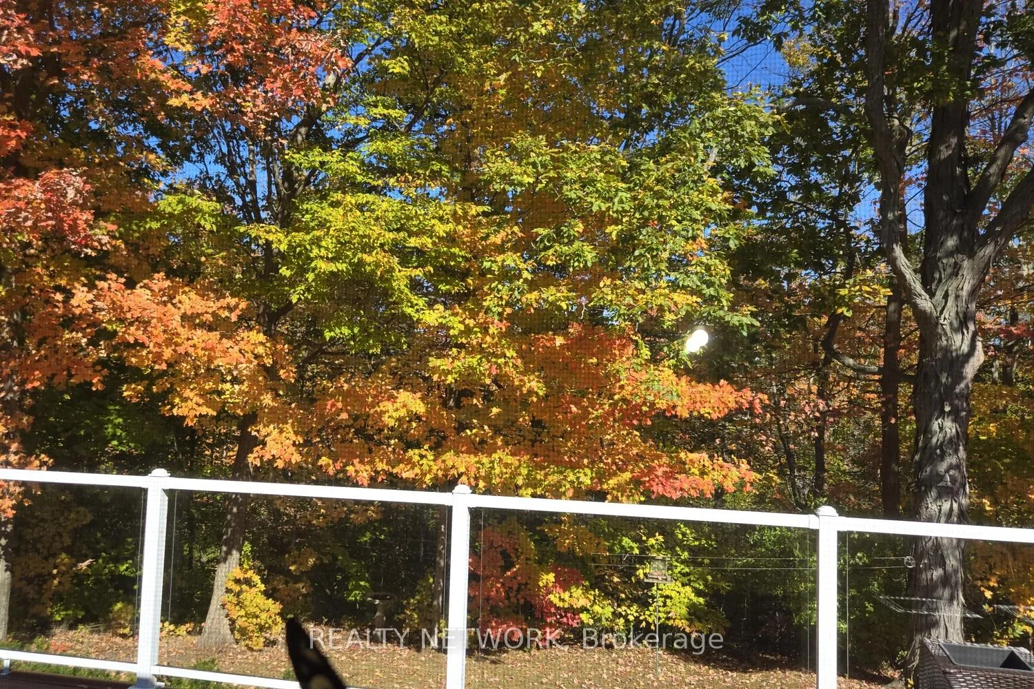 Photo 40 of 34 Birch Avenue, Norfolk, Port Dover — HOMEH