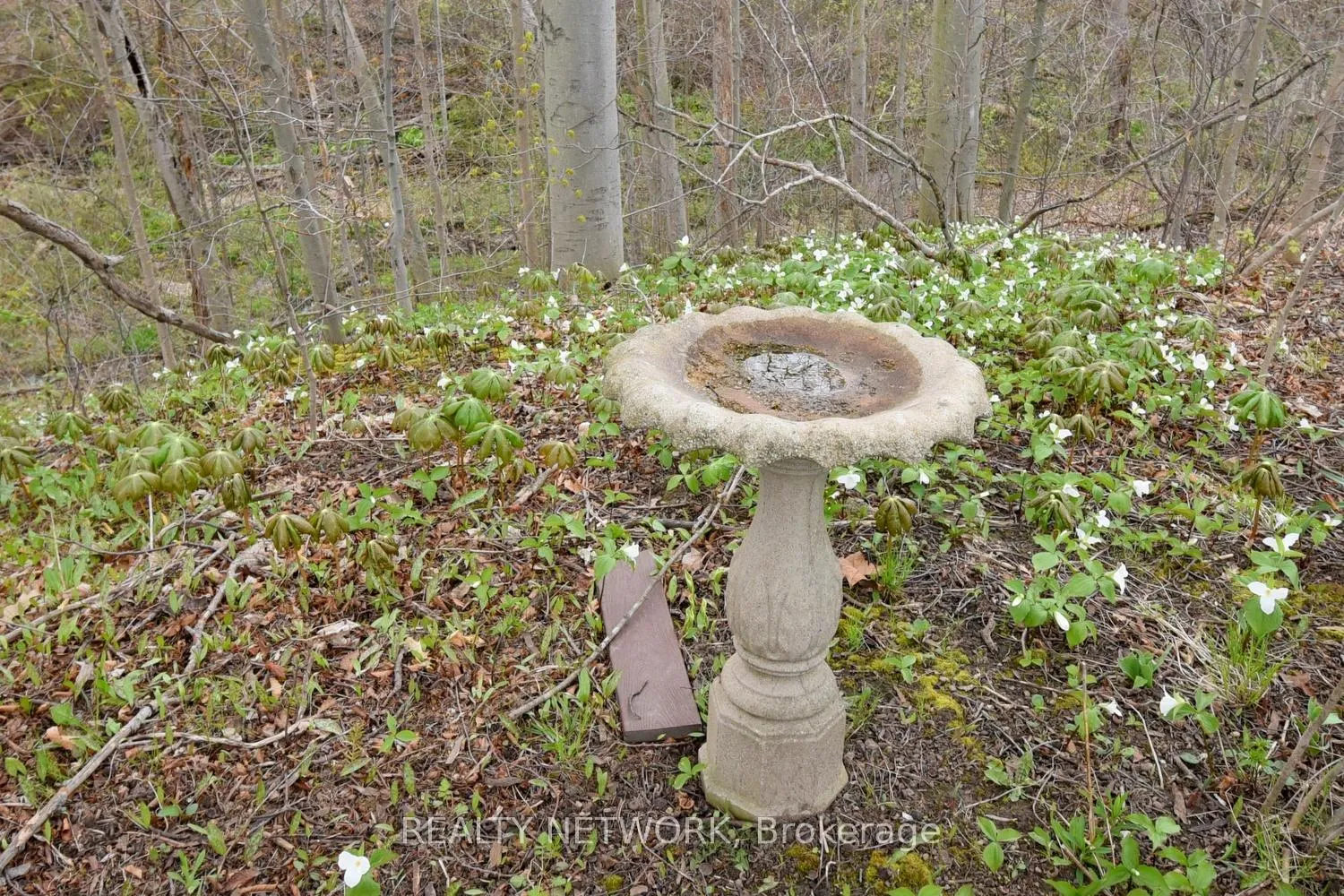 Photo 41 of 34 Birch Avenue, Norfolk, Port Dover — HOMEH