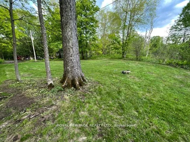 Photo 6 of Cottage Lane, Tweed, Elzevir (Twp) — HOMEH