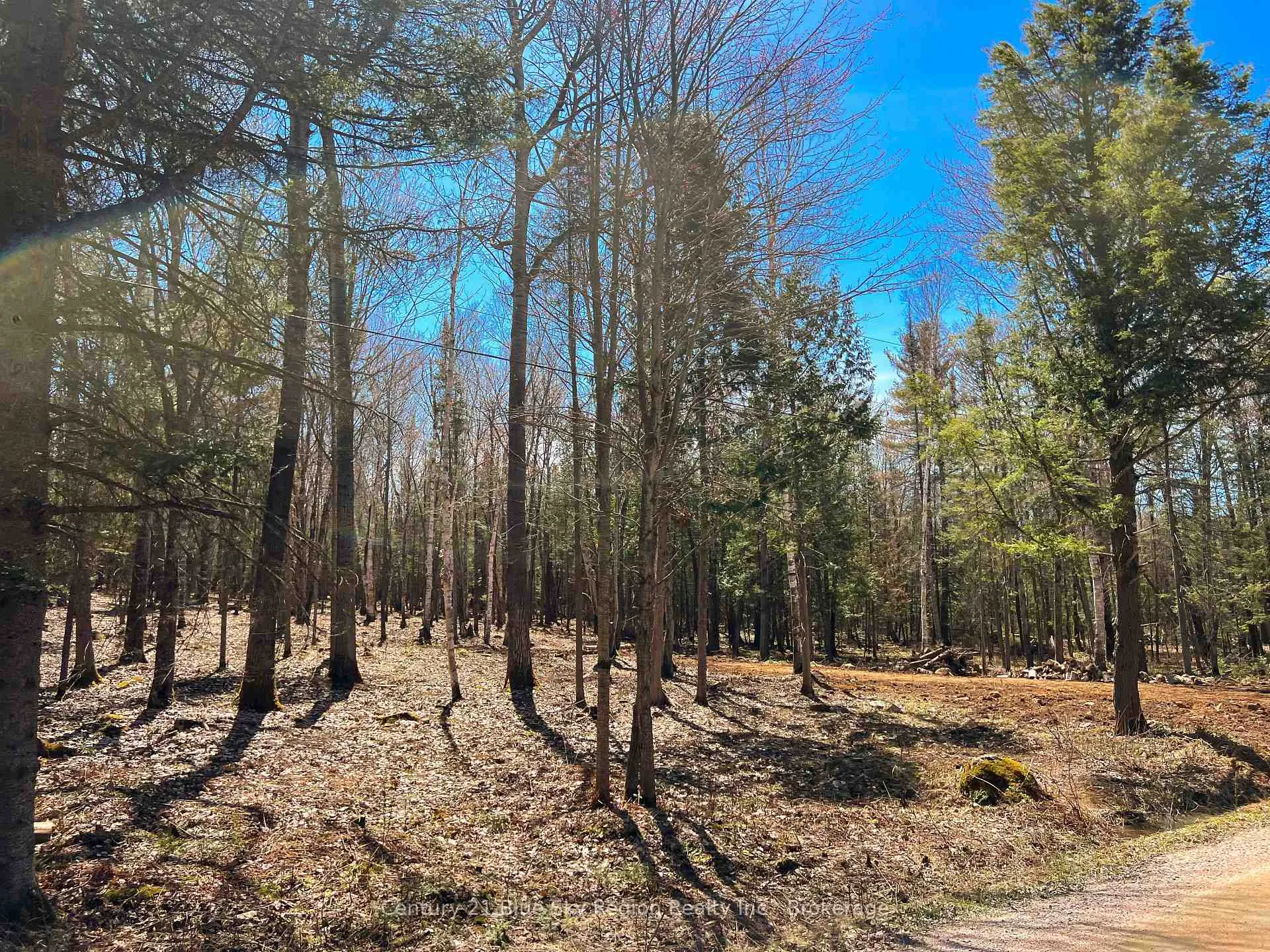 Photo 5 of Part 3 Lot 10 Lindquist Line, Powassan — HOMEH