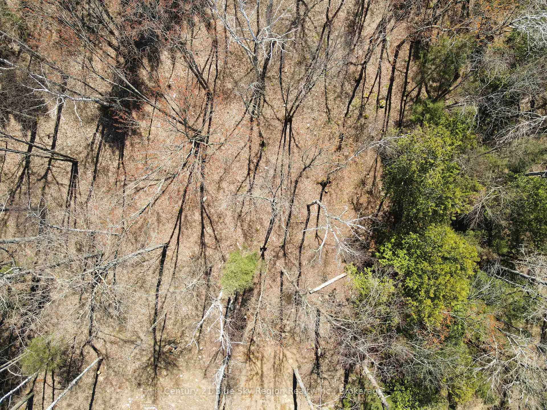 Photo 11 of Part 3 Lot 10 Lindquist Line, Powassan — HOMEH