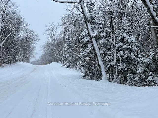 Photo 12 of 102 Black Road, Seguin — HOMEH
