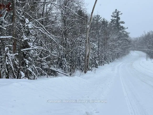 Photo 13 of 102 Black Road, Seguin — HOMEH