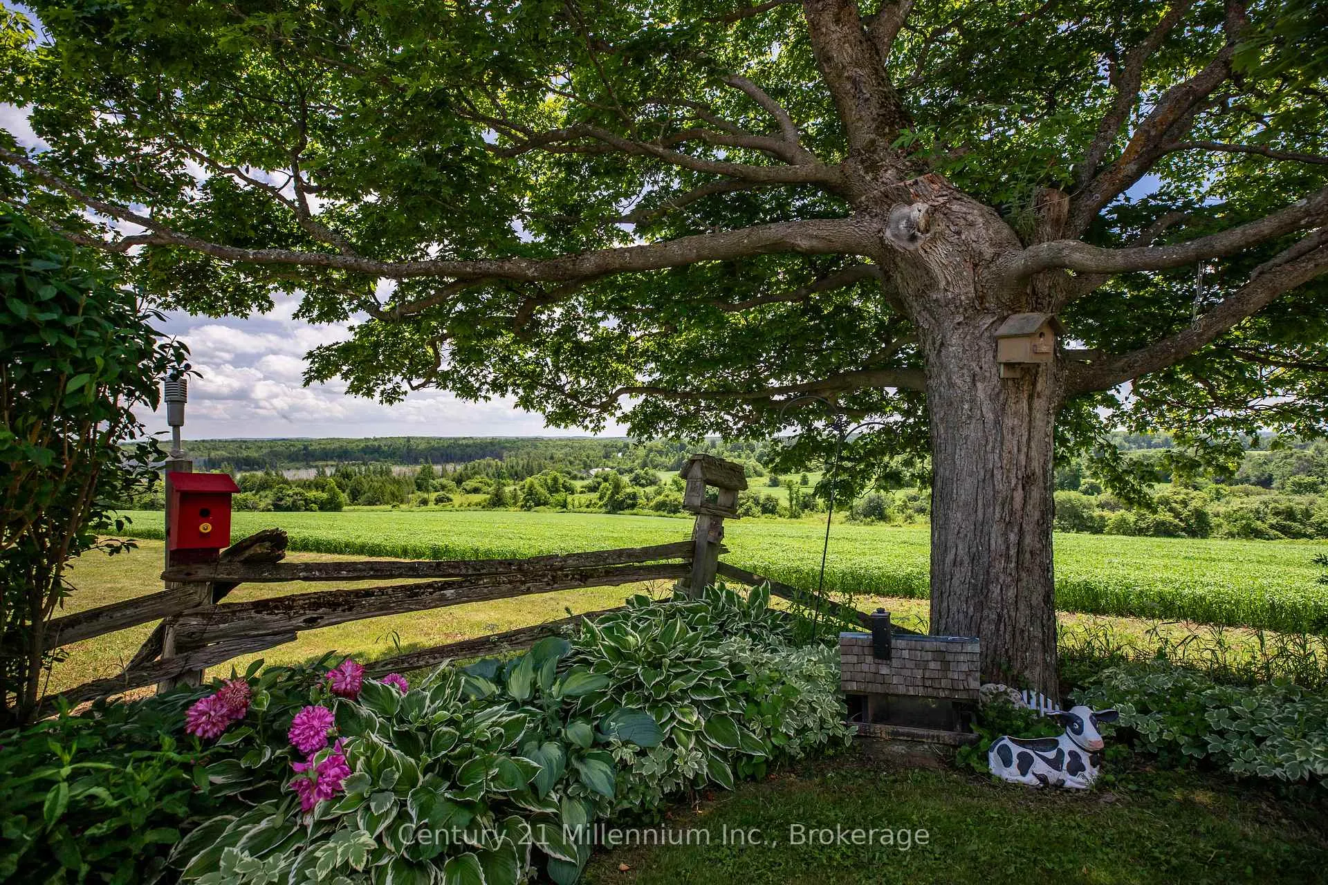Photo 8 of 775678 Highway 10, Chatsworth — HOMEH