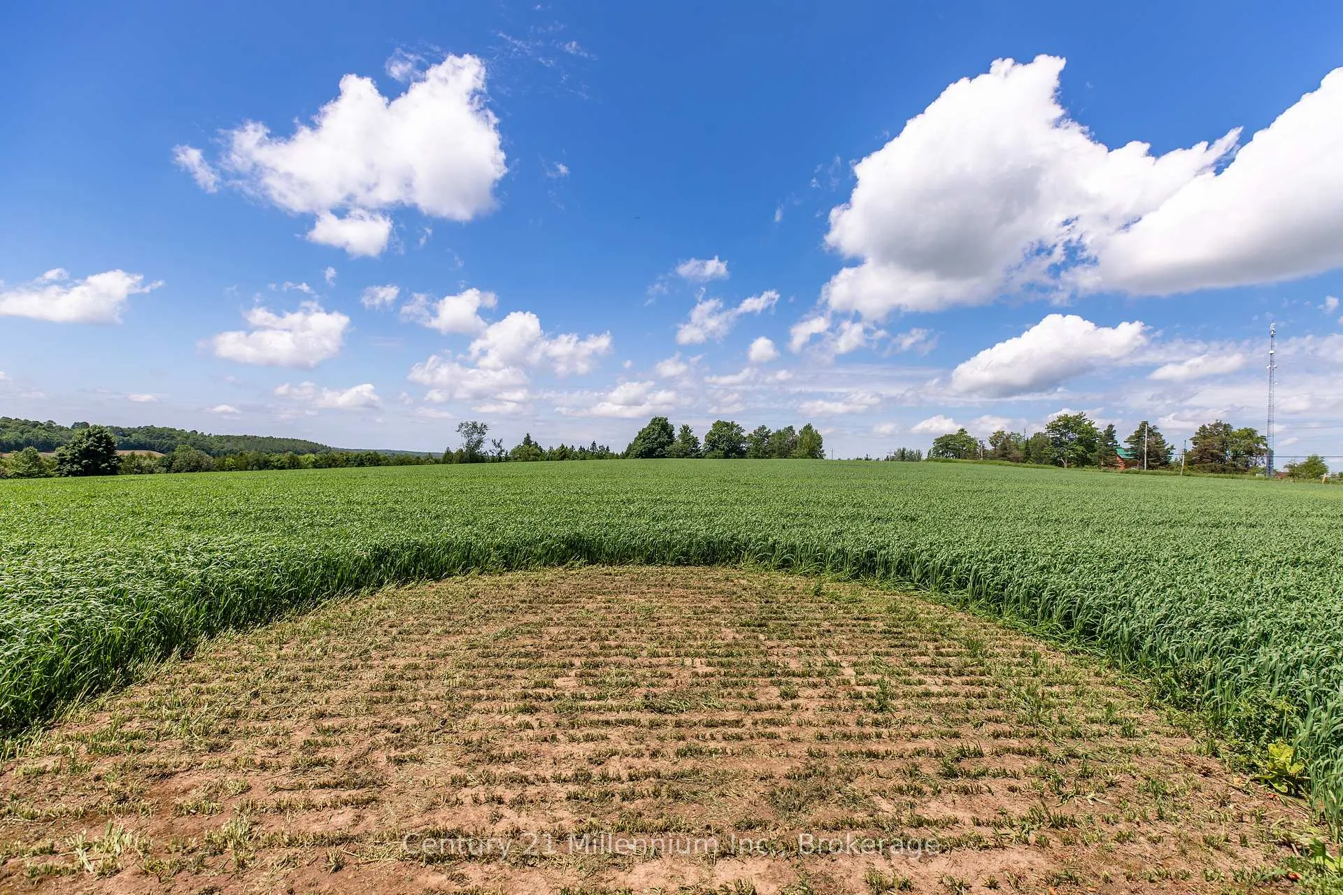 Photo 11 of 775678 Highway 10, Chatsworth — HOMEH