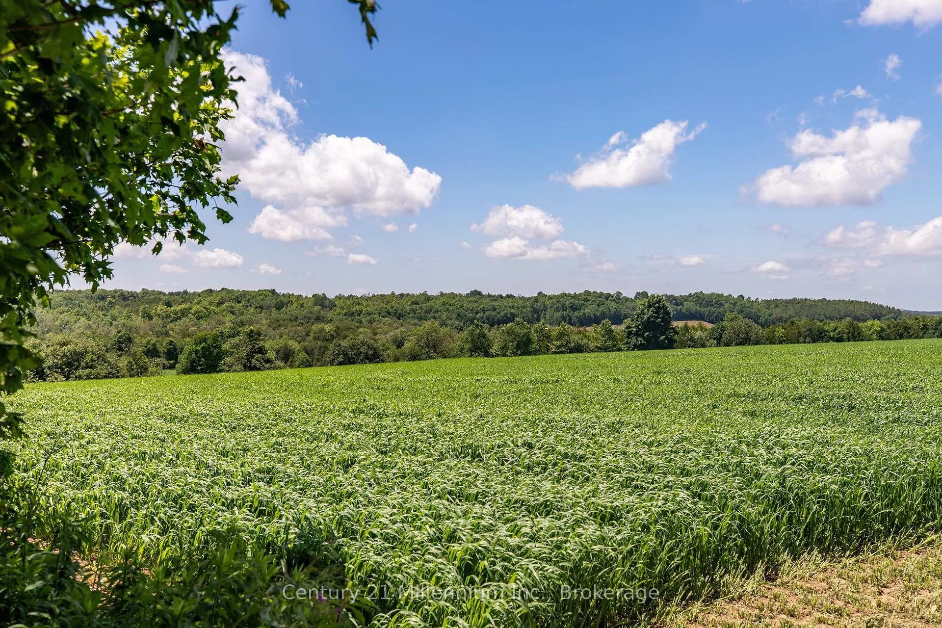 Photo 12 of 775678 Highway 10, Chatsworth — HOMEH