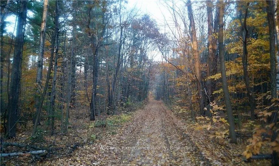 Photo 3 of PL 20 Concession 18 W, Tiny, Rural Tiny — HOMEH