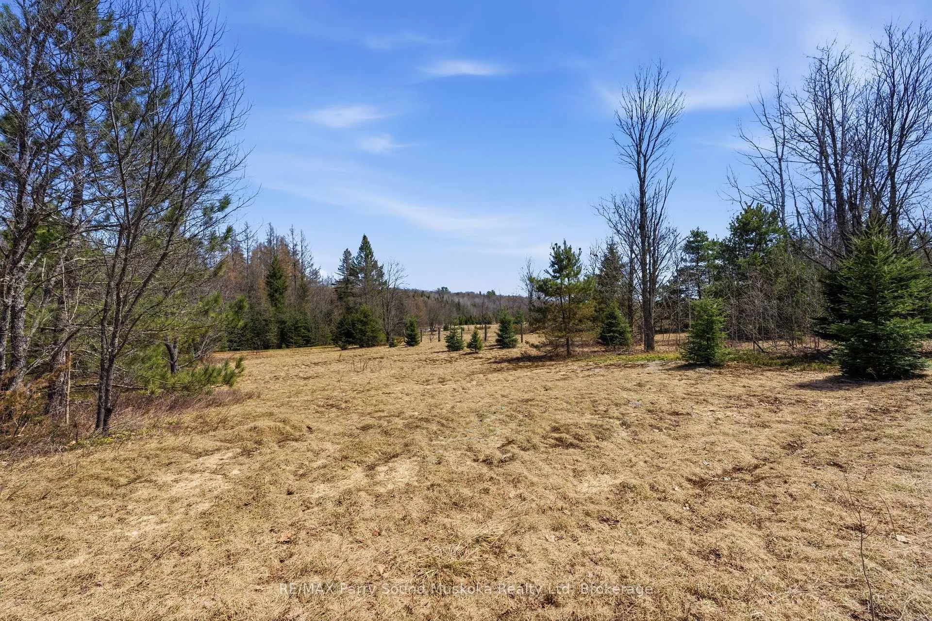 Photo 9 of 737 Starratt Road, Ryerson — HOMEH