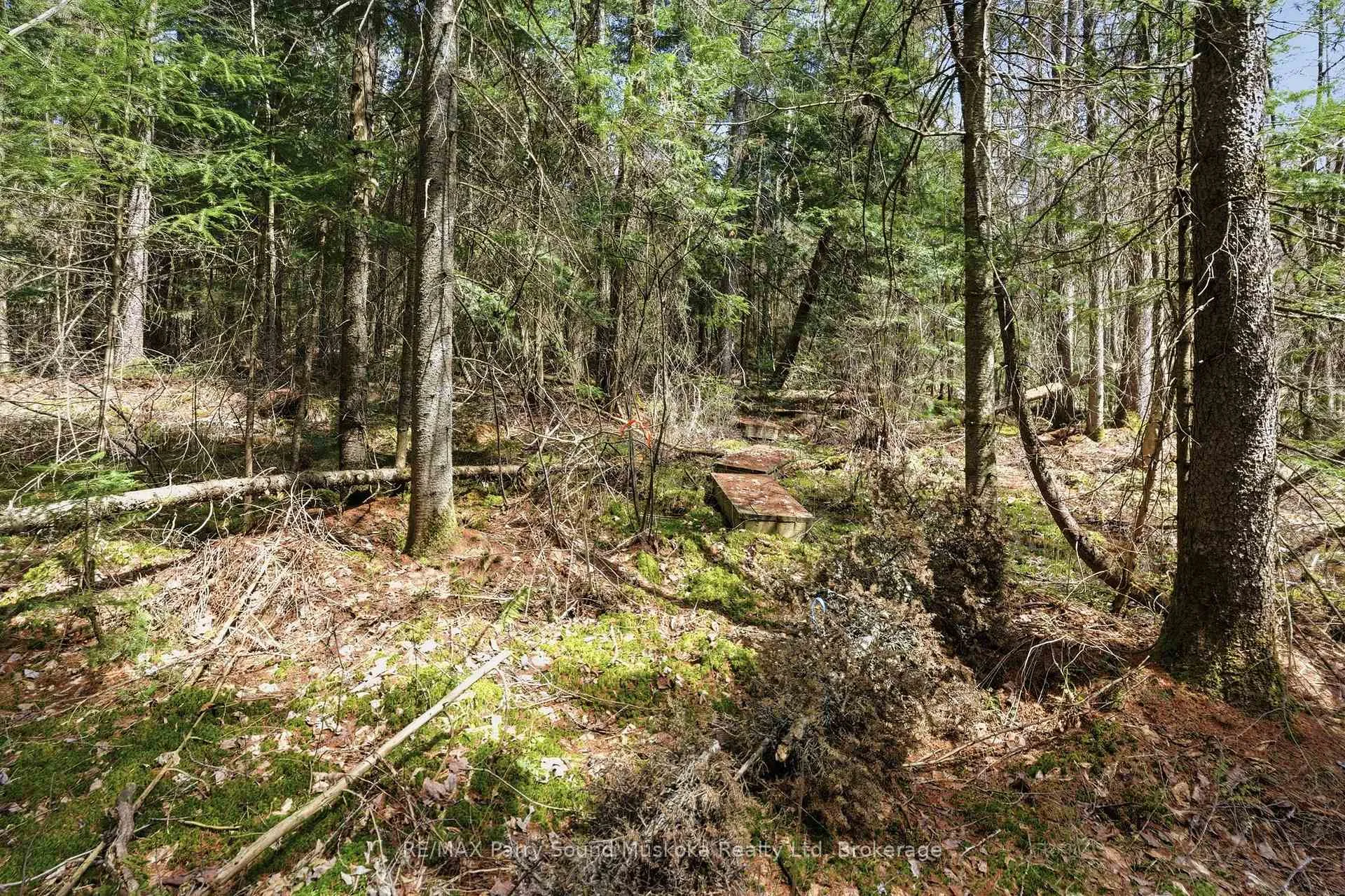 Photo 11 of 737 Starratt Road, Ryerson — HOMEH