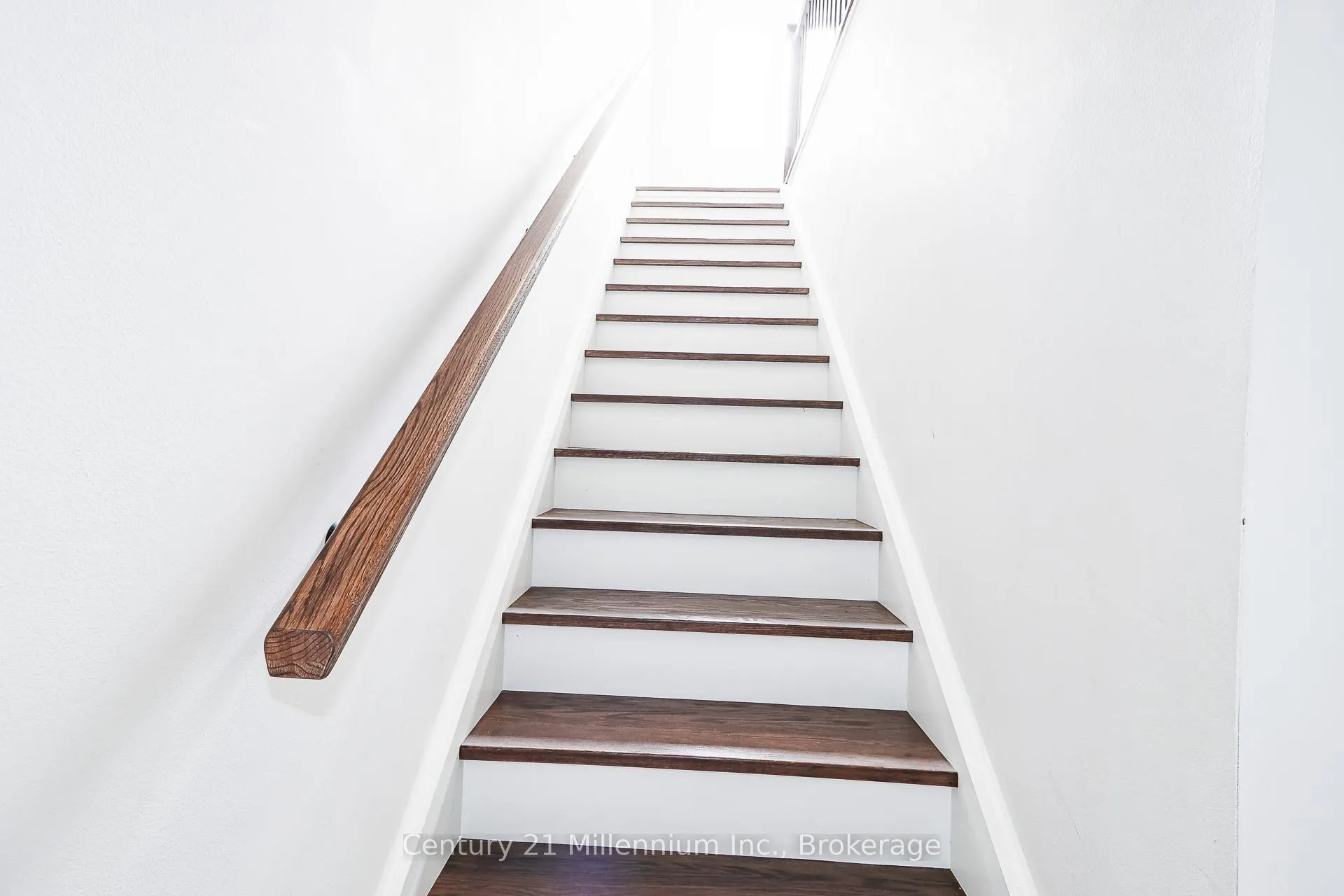 Photo 34 of 294 Yellow Birch Crescent, Blue Mountains — HOMEH