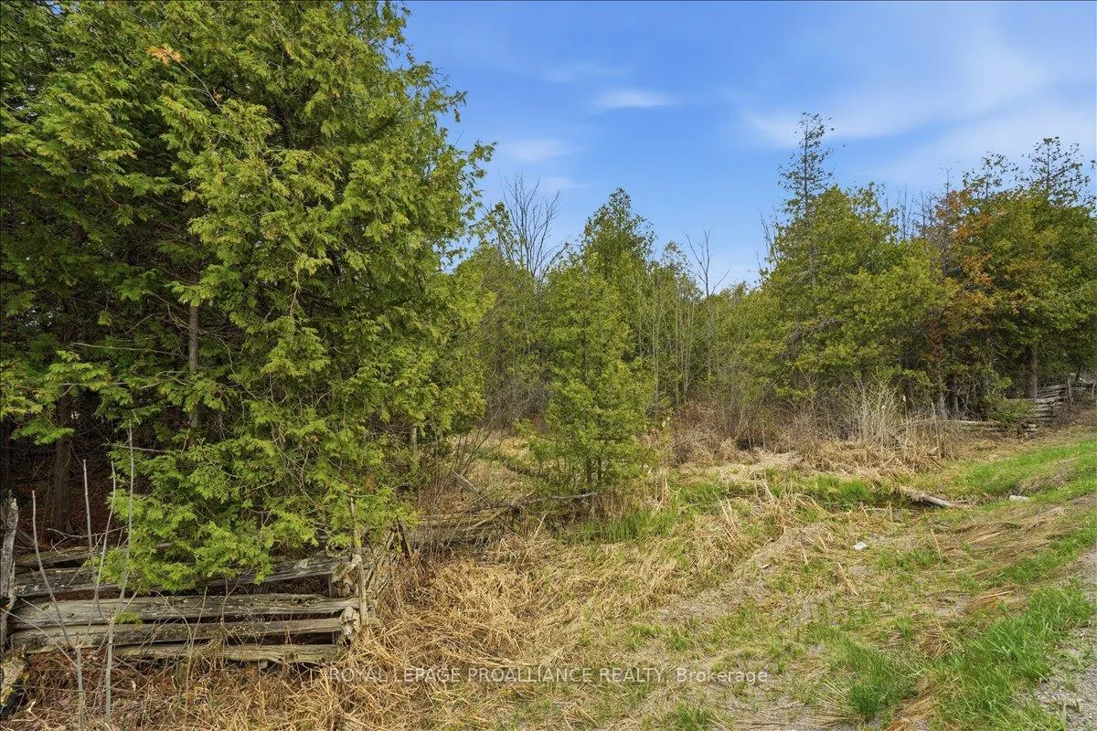 Photo 49 of 1442 Quin Mo Lac Road, Tweed, Hungerford (Twp) — HOMEH