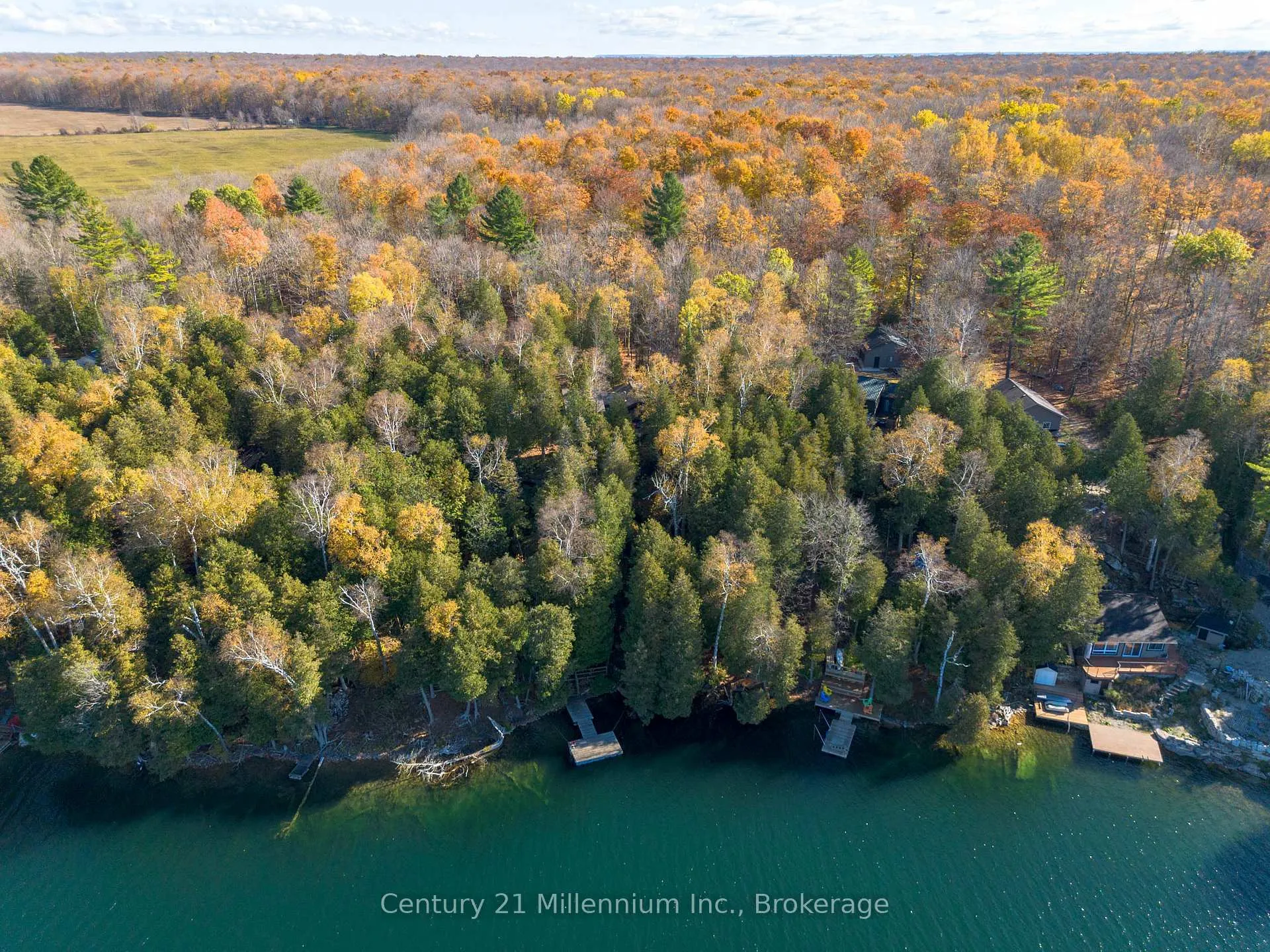 Photo 16 of 117 Sutherland Road, Georgian Bluffs — HOMEH