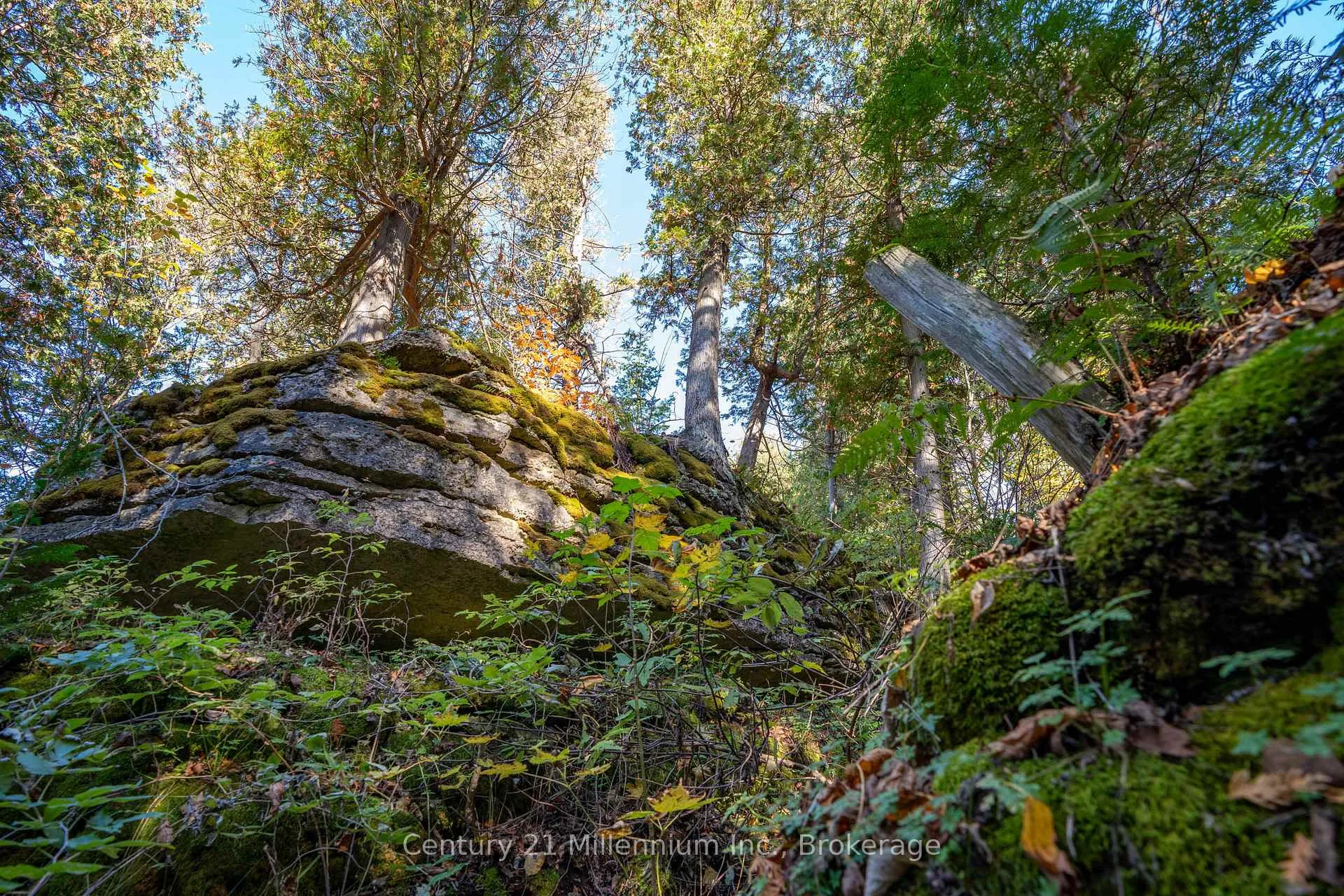 Photo 22 of 117 Sutherland Road, Georgian Bluffs — HOMEH