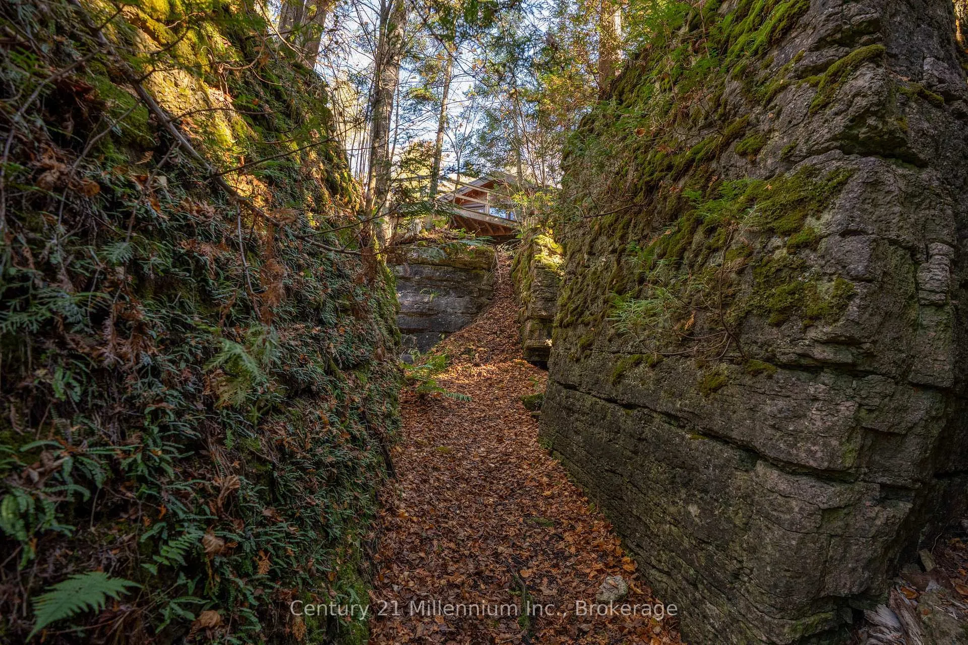 Photo 23 of 117 Sutherland Road, Georgian Bluffs — HOMEH