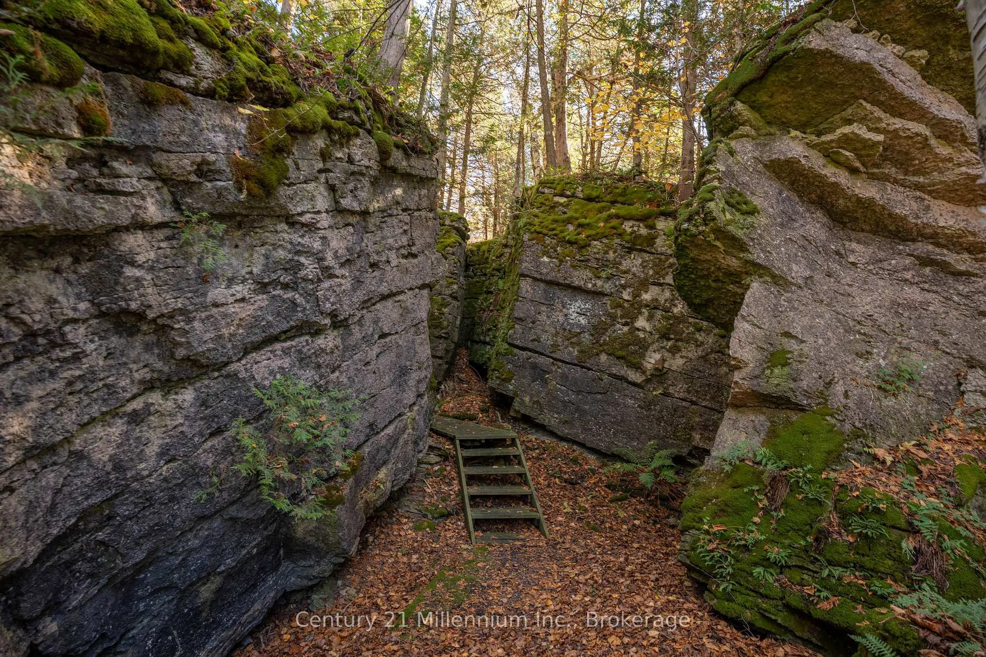 Photo 49 of 117 Sutherland Road, Georgian Bluffs — HOMEH