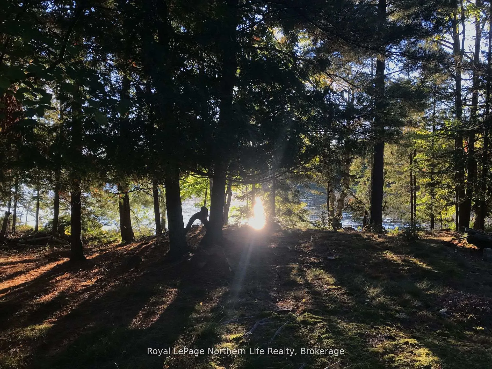 Photo 46 of Lot 1 Smith Island, Callander — HOMEH