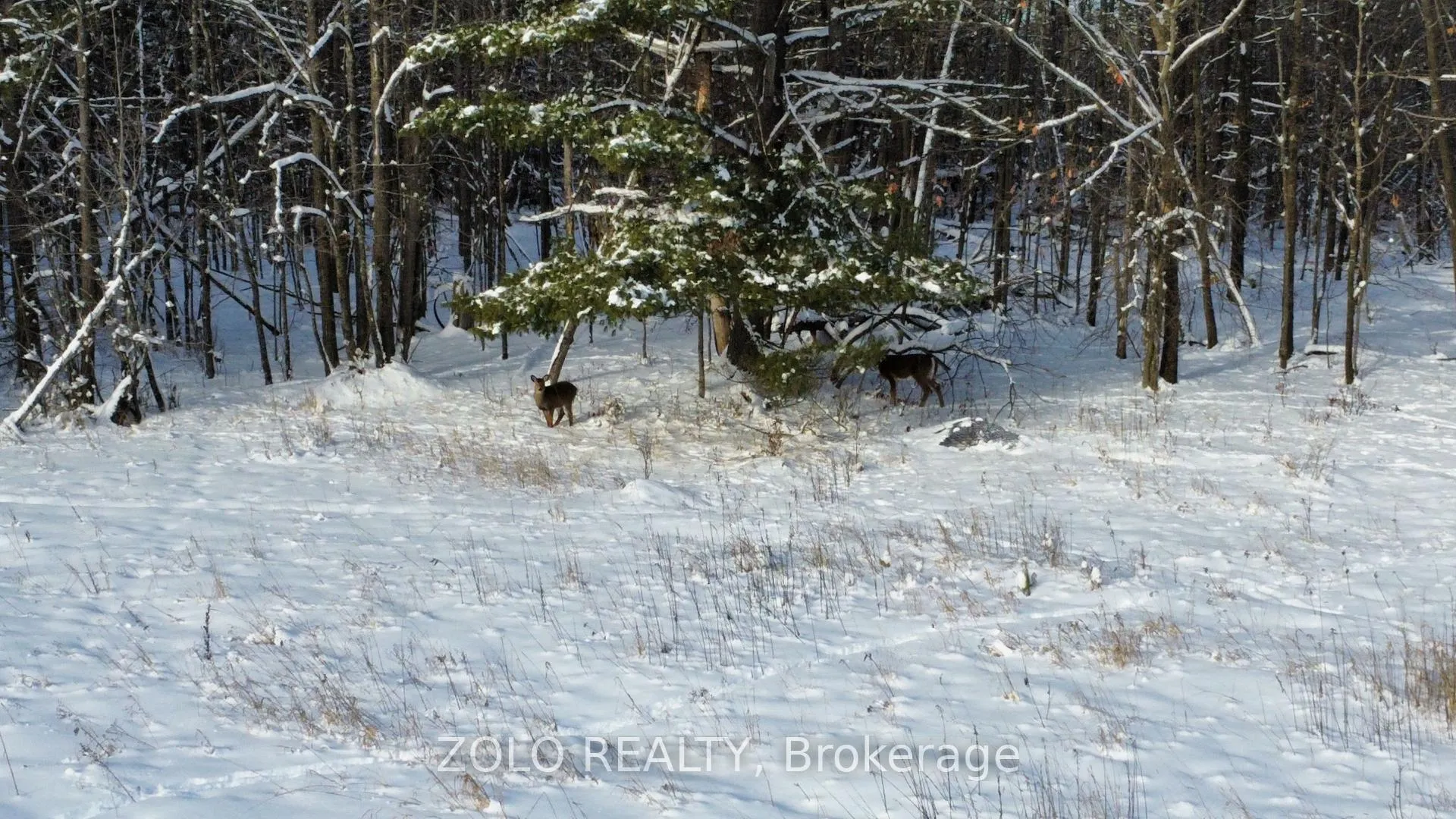 Photo 8 of 3240 Greenland Road, Ottawa, Dunrobin Shores — HOMEH