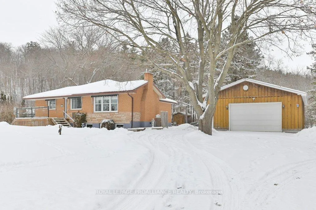 Front of 556 Rosebush Road