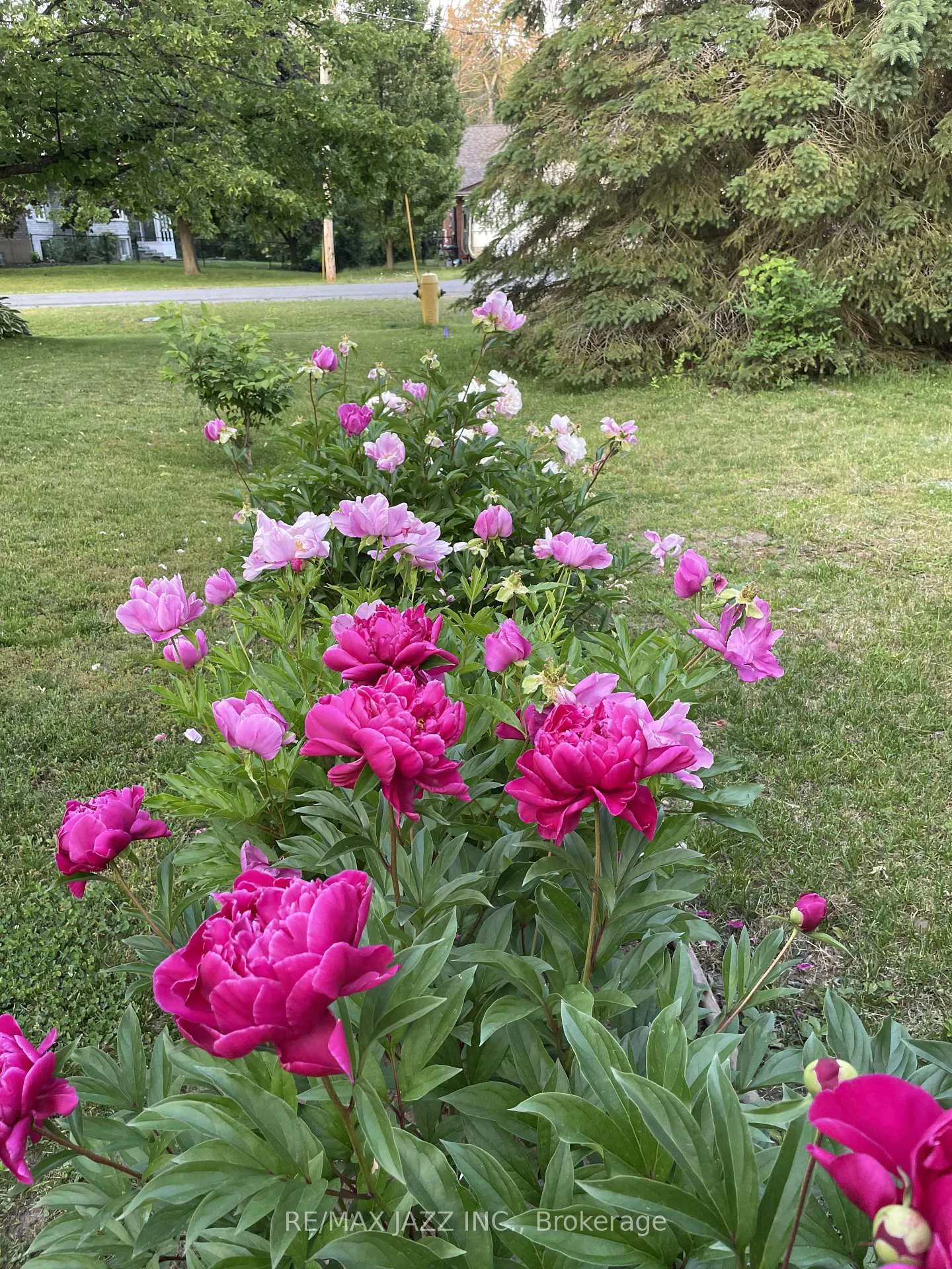 Photo 34 of 17 Huron Drive, Brighton — HOMEH