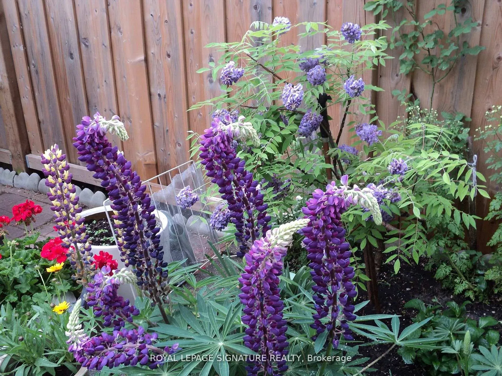 Photo 35 of 136 Cranbrooke Avenue, Toronto, Lawrence Park North — HOMEH
