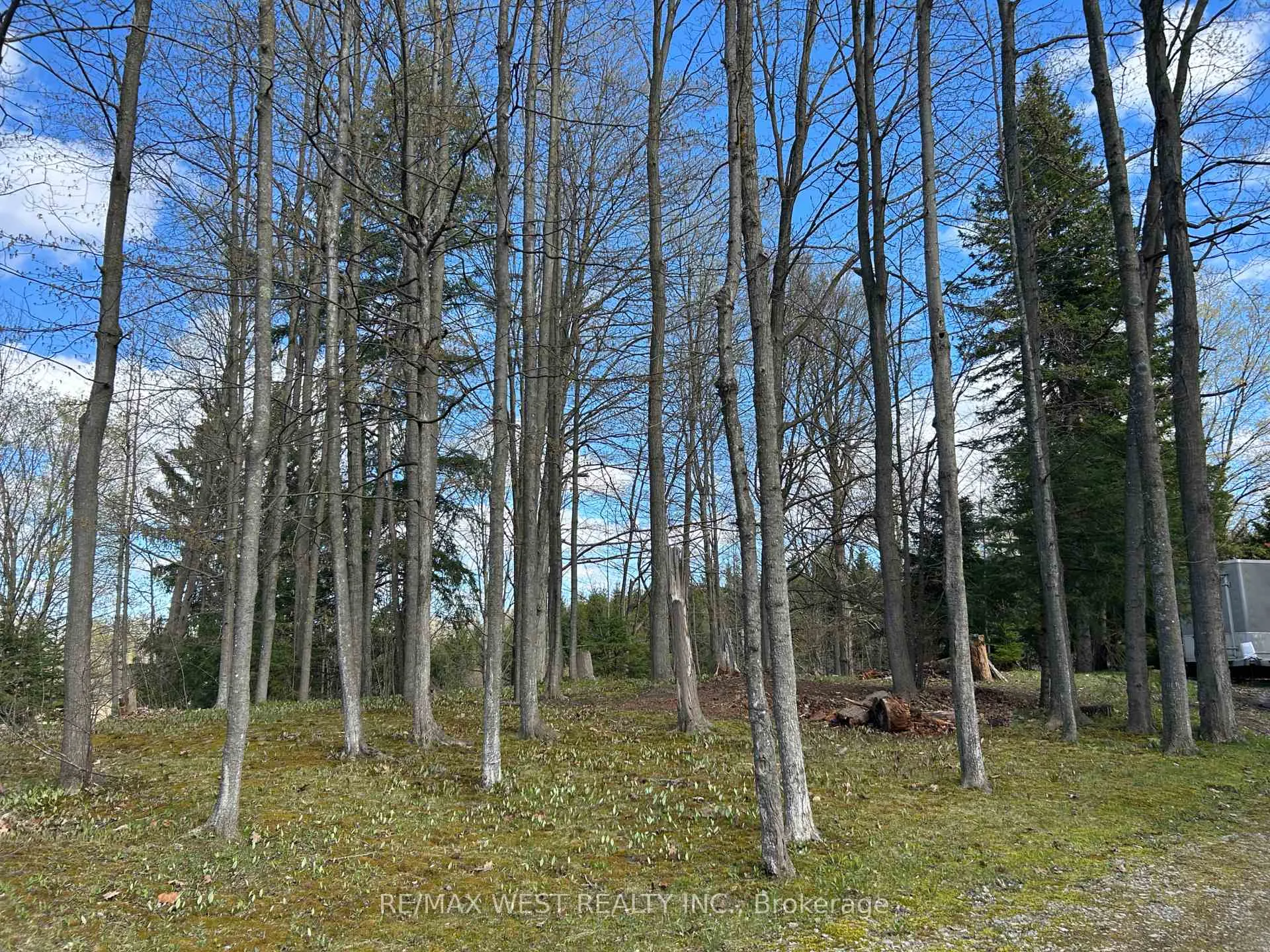 Photo 6 of 55 Elmpine Trail, King, Rural King — HOMEH