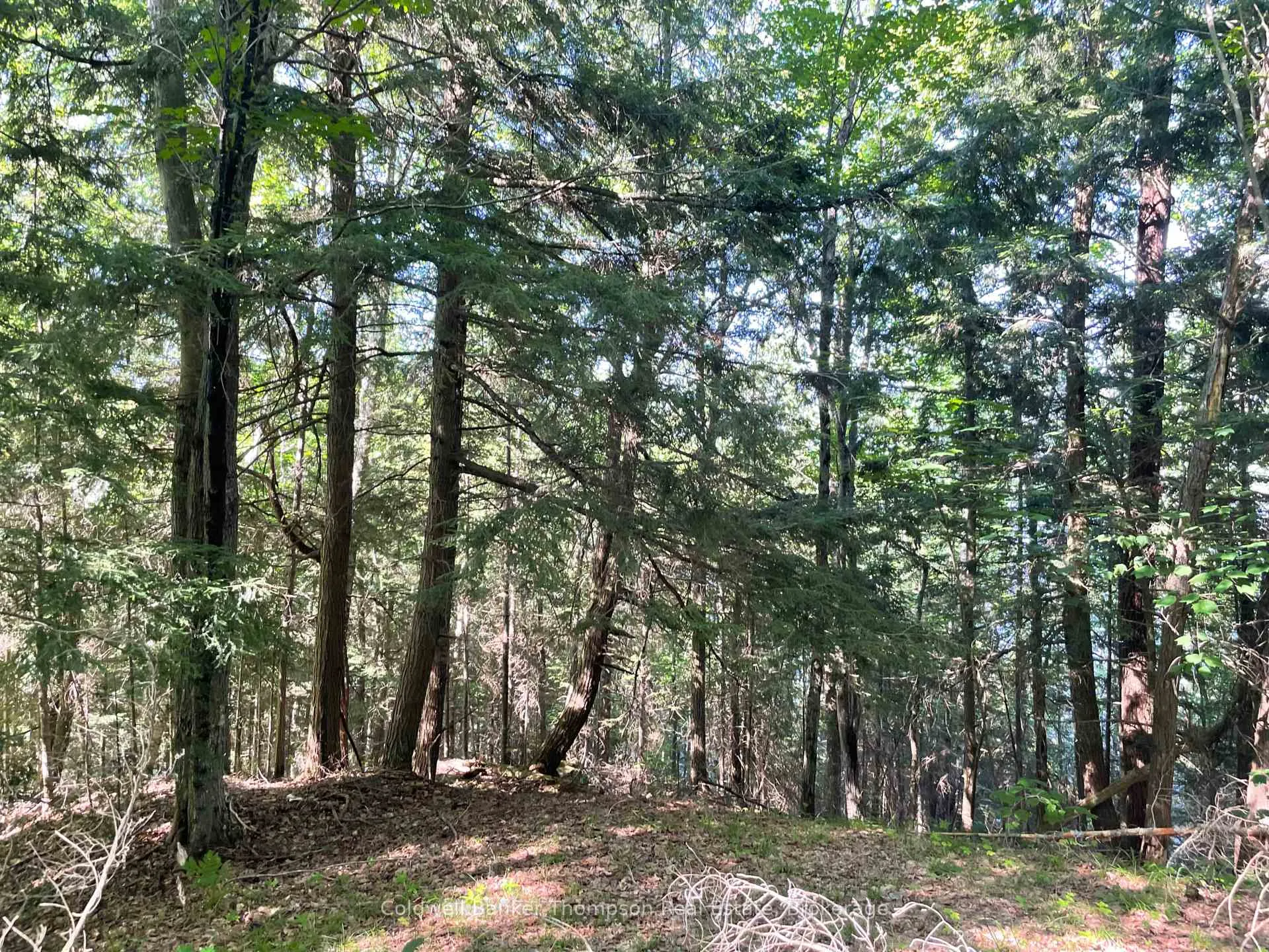 Photo 15 of Hazard Hill #2 Road, Kearney — HOMEH