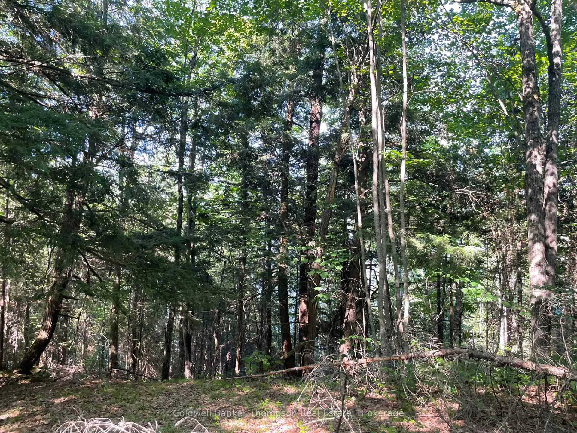 Photo 16 of Hazard Hill #2 Road, Kearney — HOMEH