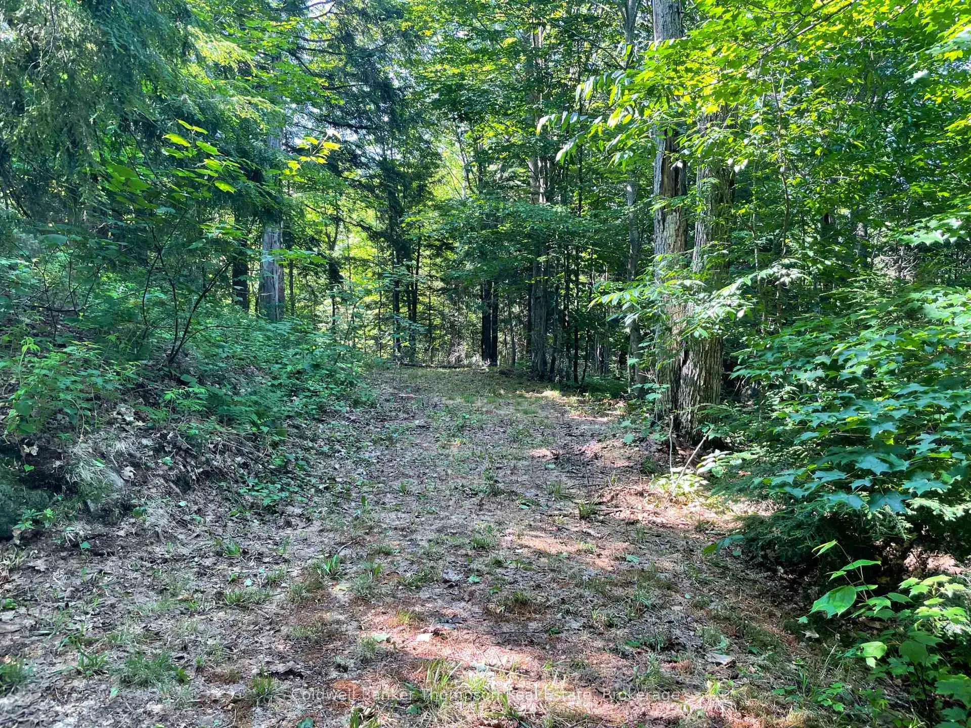 Photo 19 of Hazard Hill #2 Road, Kearney — HOMEH