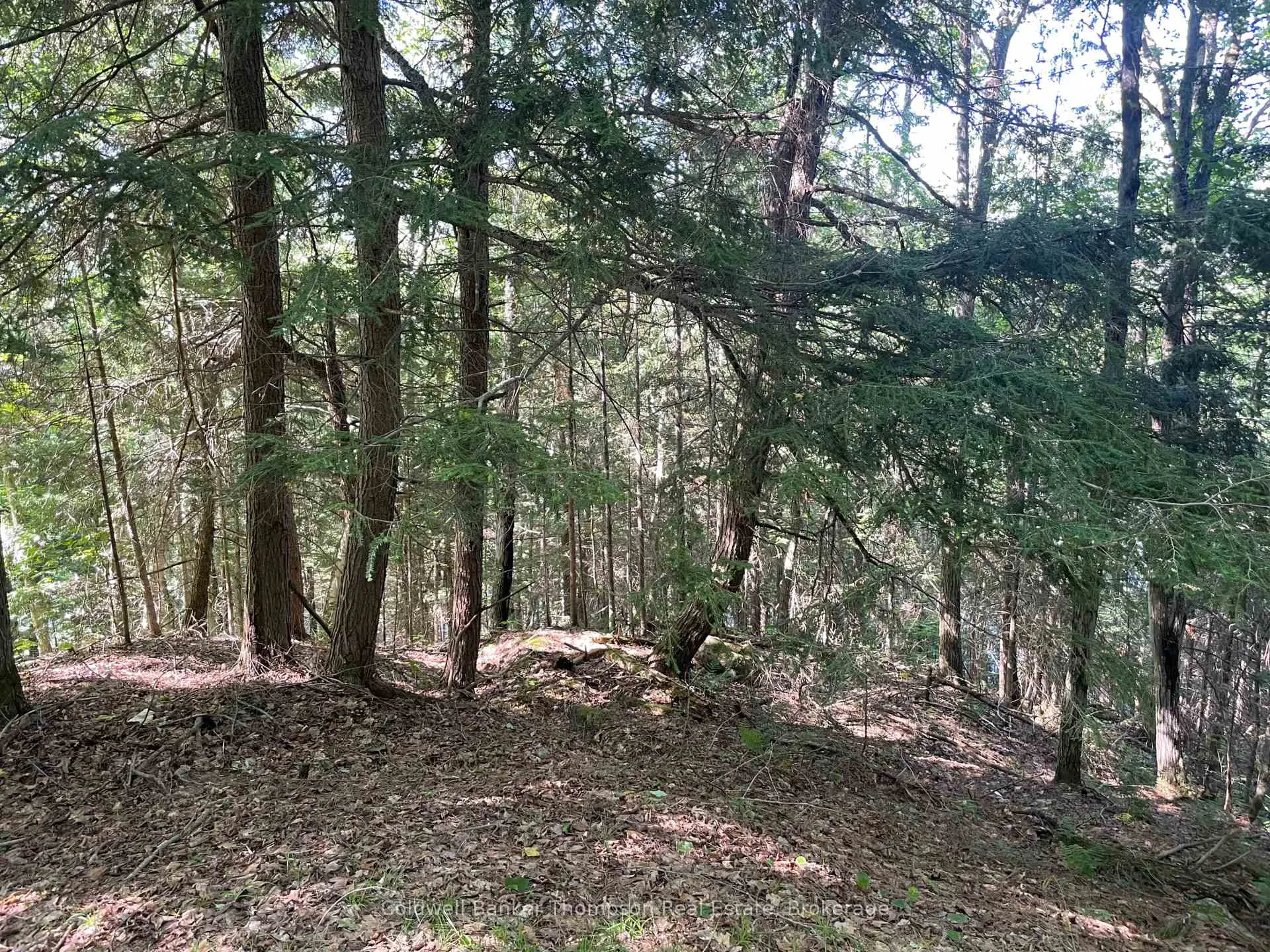 Photo 21 of Hazard Hill #2 Road, Kearney — HOMEH