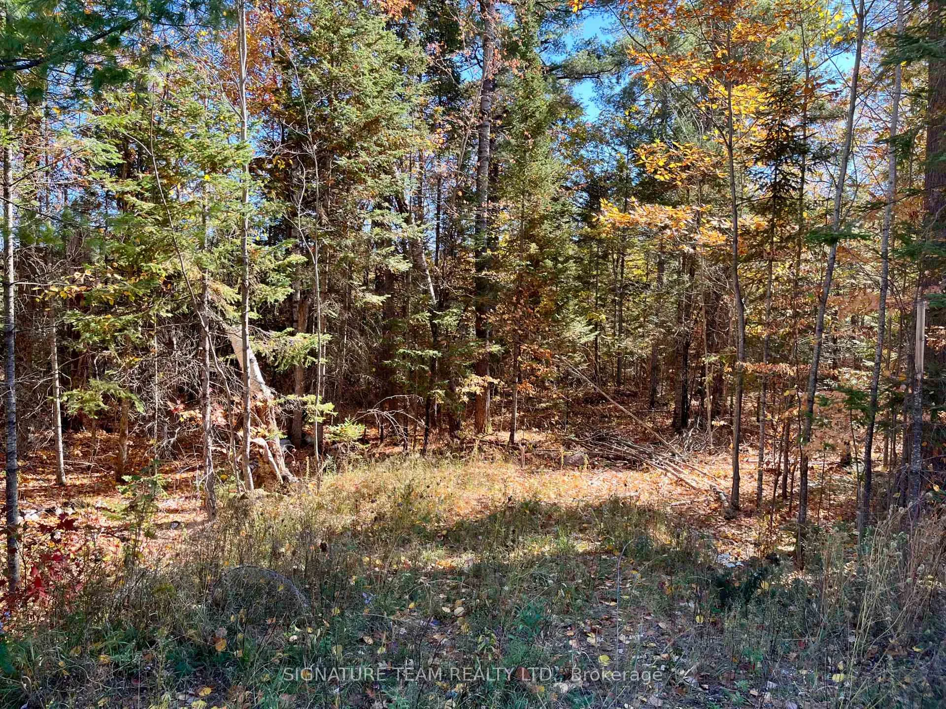 Photo of 0 Foymount Road