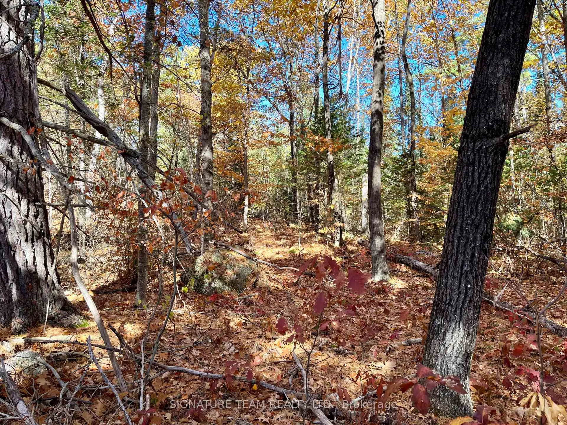 Photo 5 of Foymount Road, Bonnechere Valley, Eganville/Bonnechere Twp — HOMEH