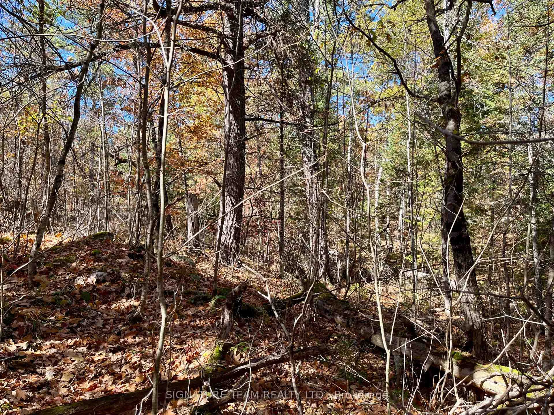 Photo 6 of Foymount Road, Bonnechere Valley, Eganville/Bonnechere Twp — HOMEH