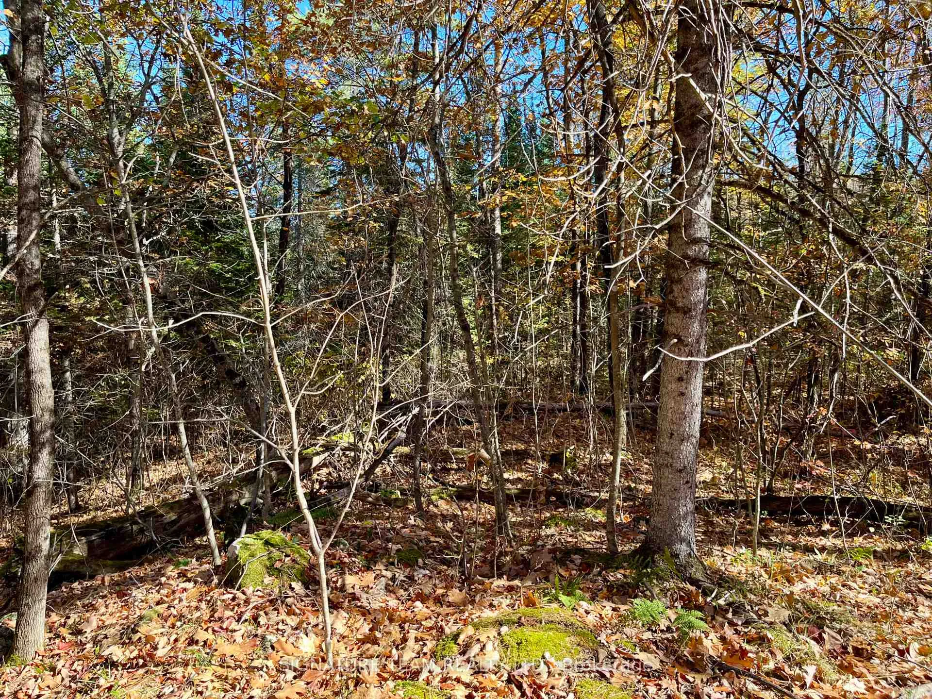 Photo 7 of Foymount Road, Bonnechere Valley, Eganville/Bonnechere Twp — HOMEH