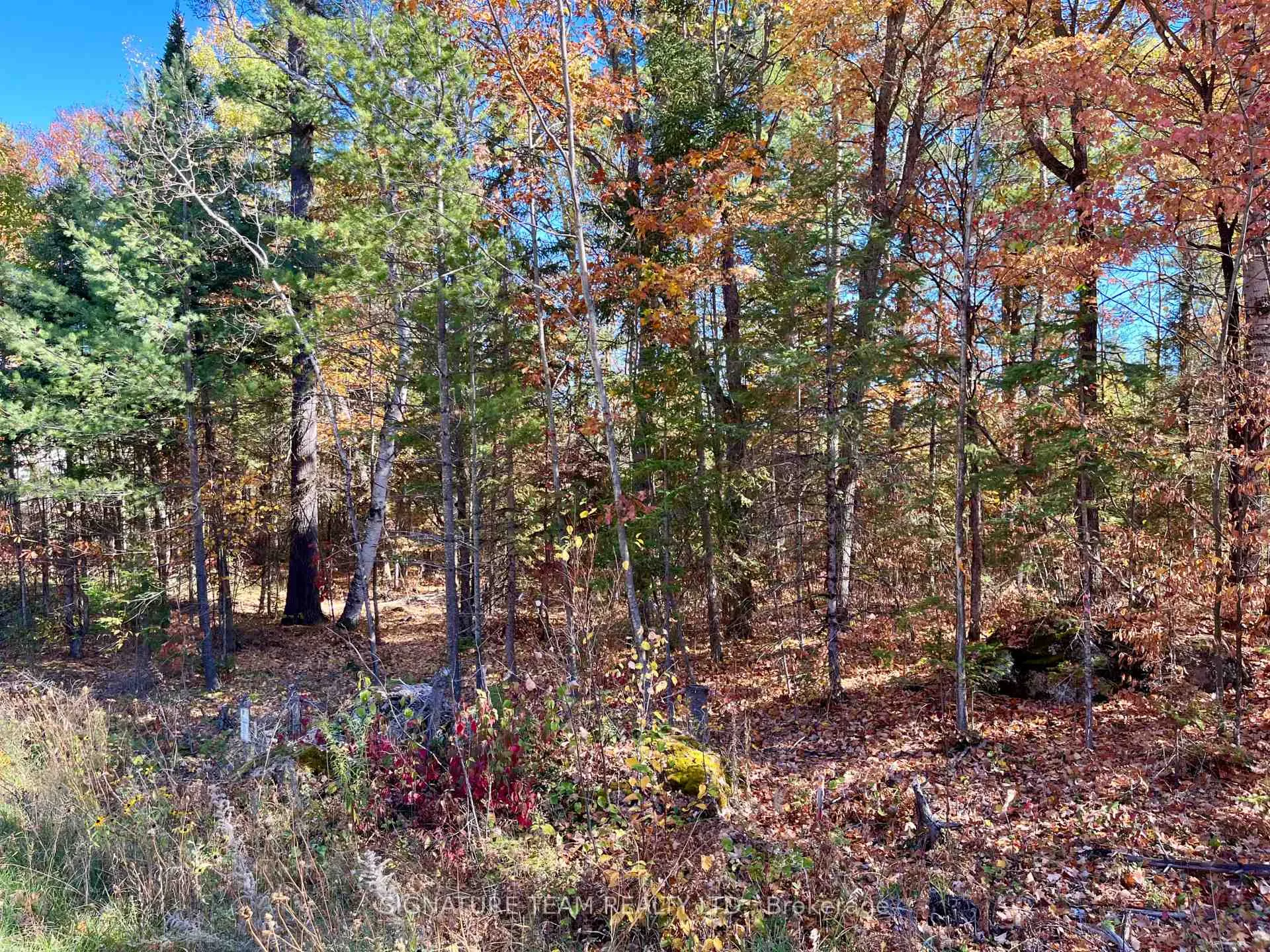 Photo 8 of Foymount Road, Bonnechere Valley, Eganville/Bonnechere Twp — HOMEH